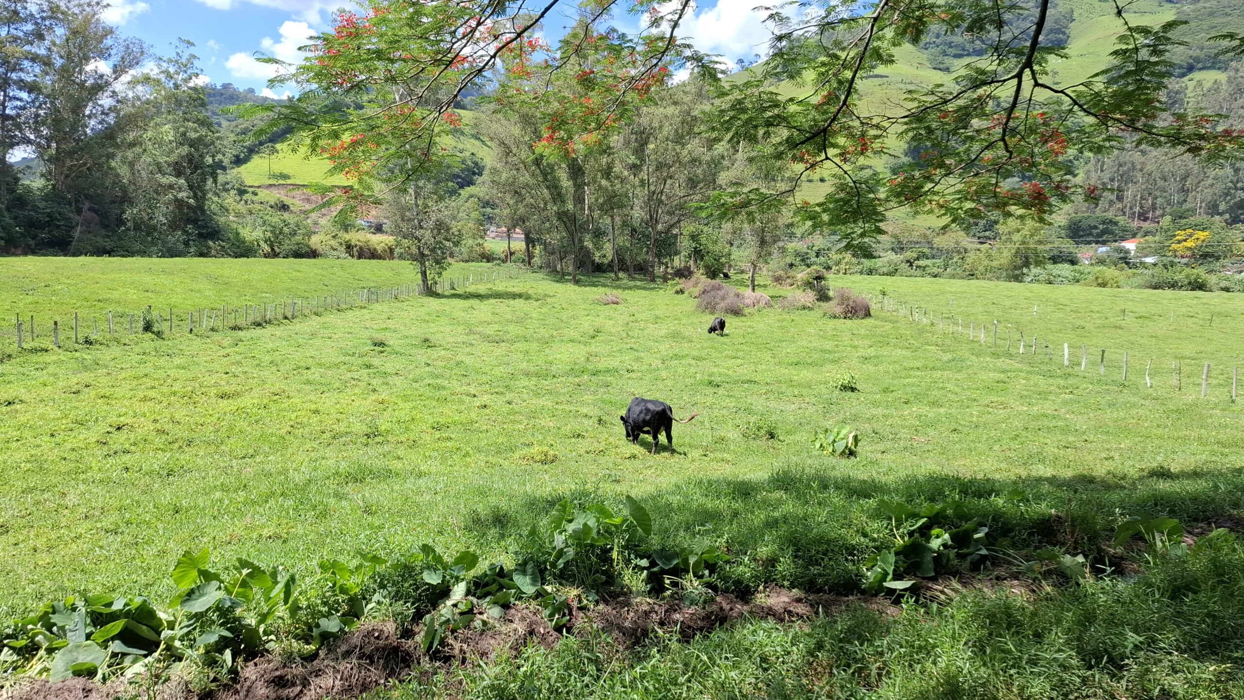 inbound7049011395558743901