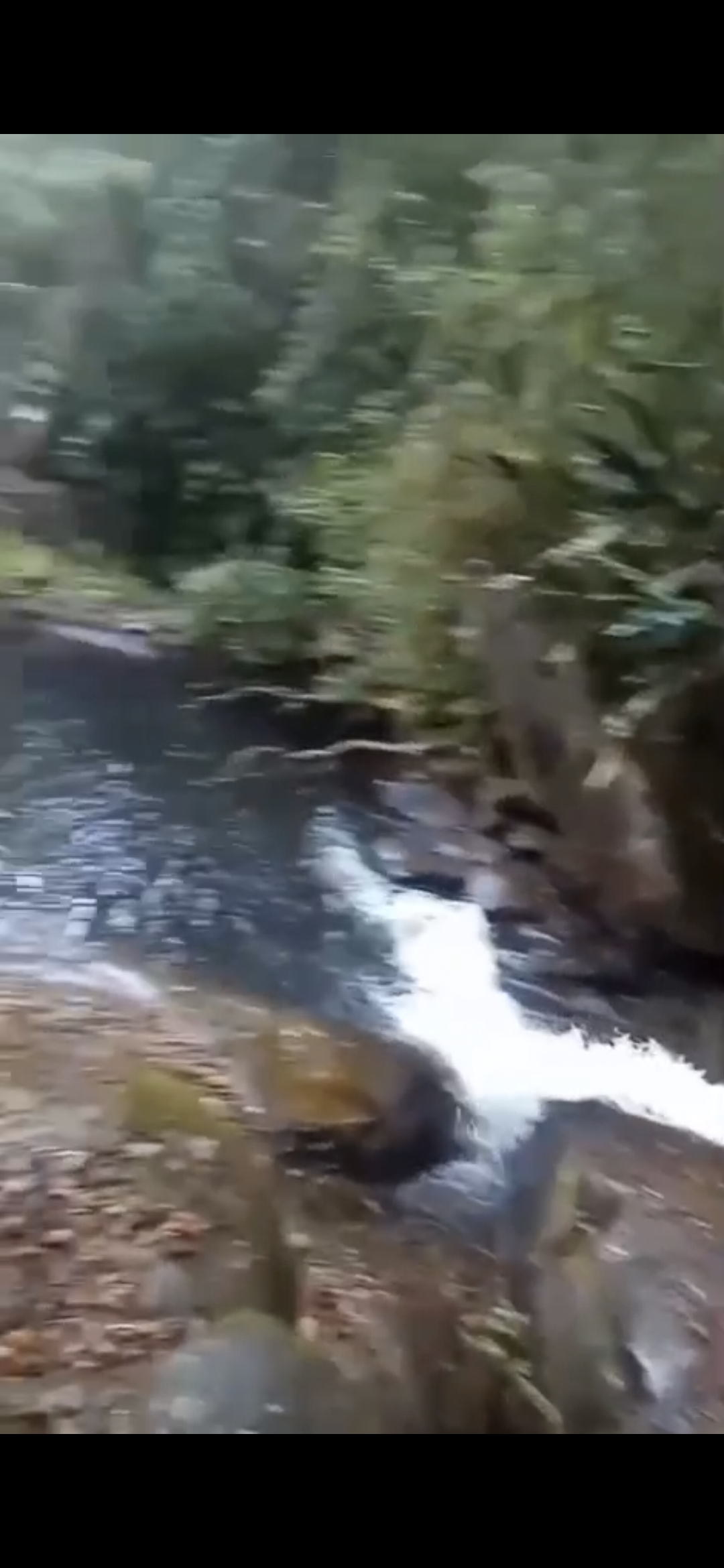 inbound7422813272411016952