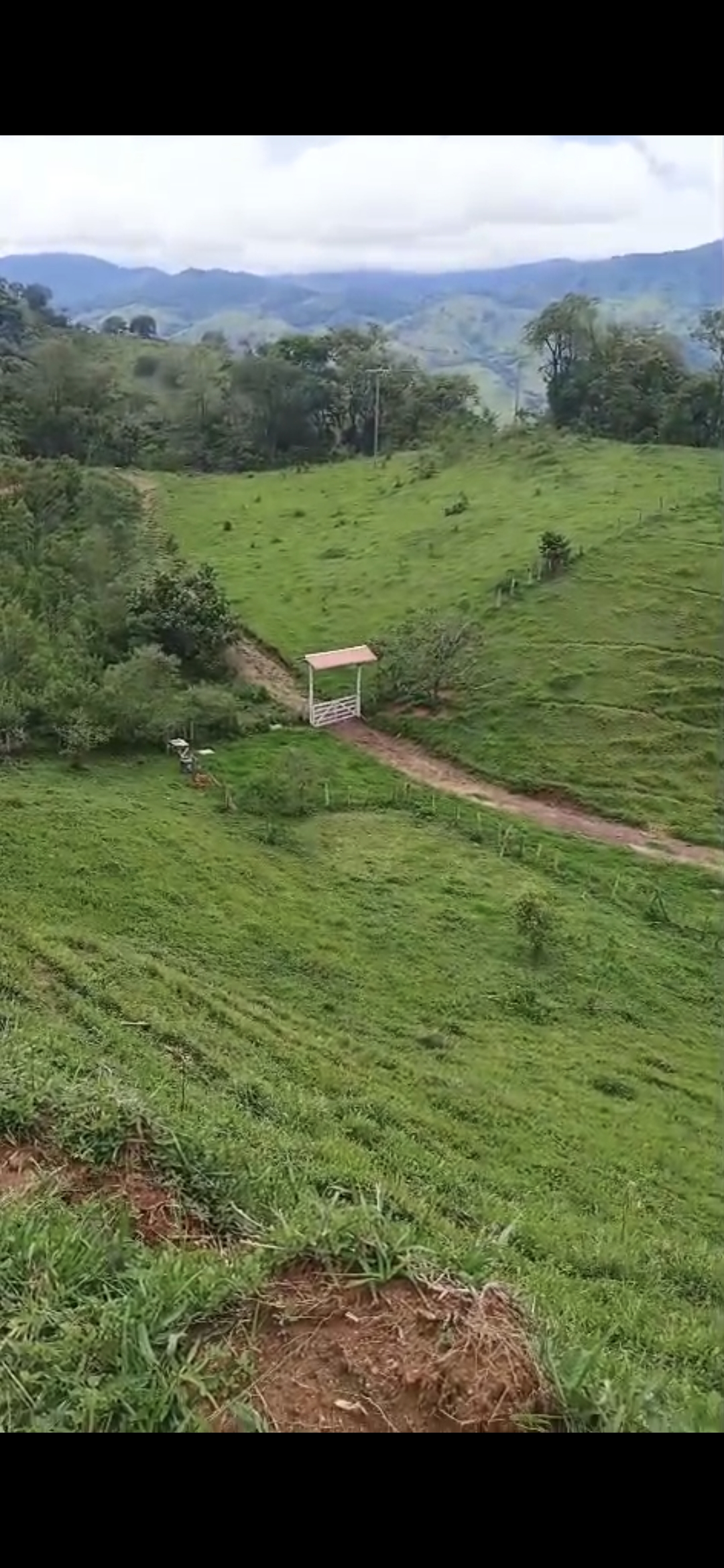 inbound8875775900909518064