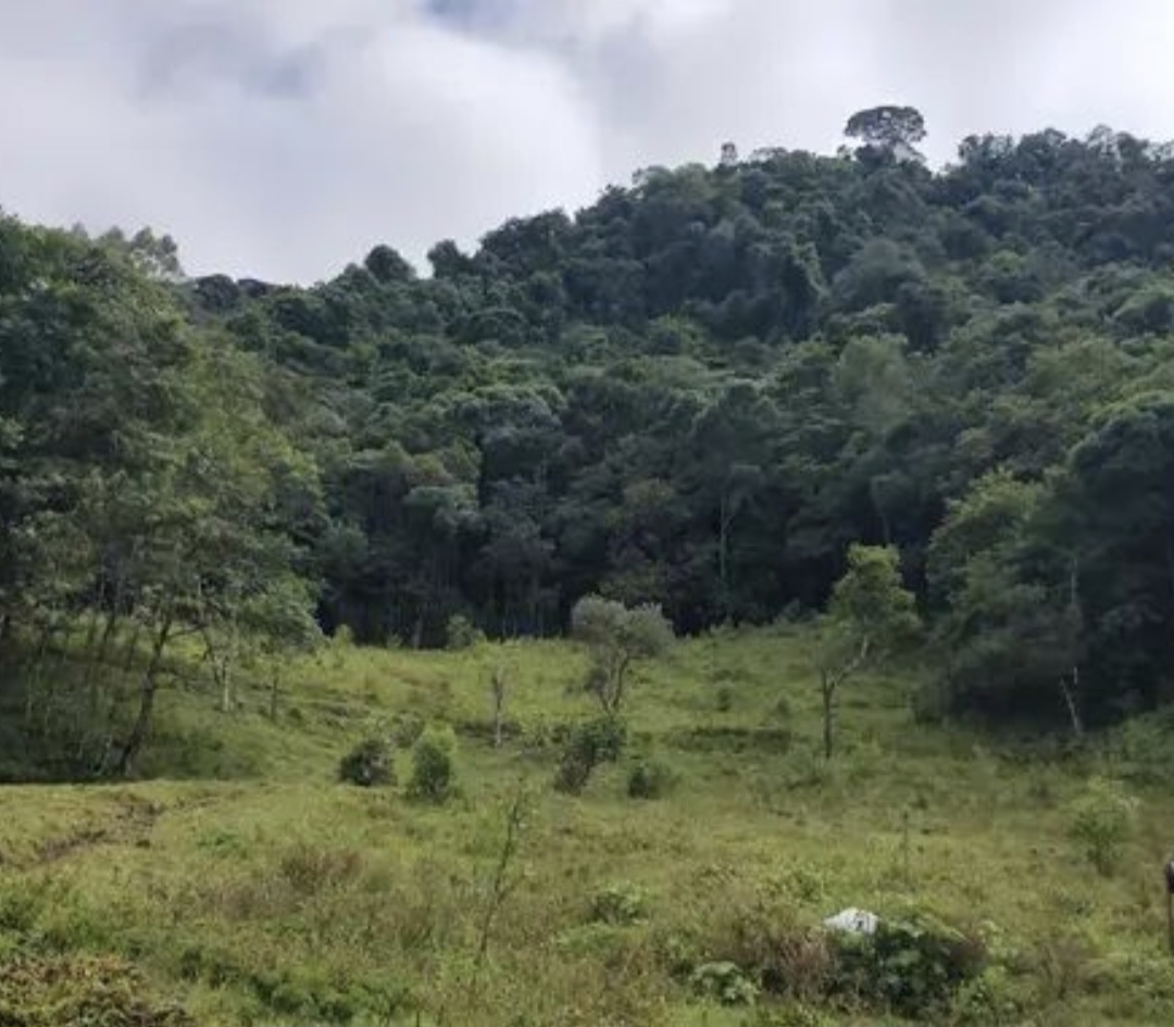 inbound1226631475450933600