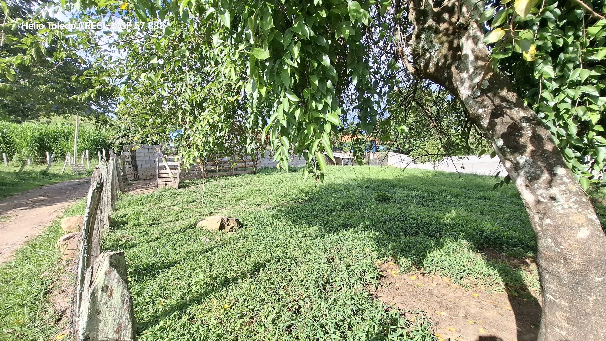 inbound1348764575357396314