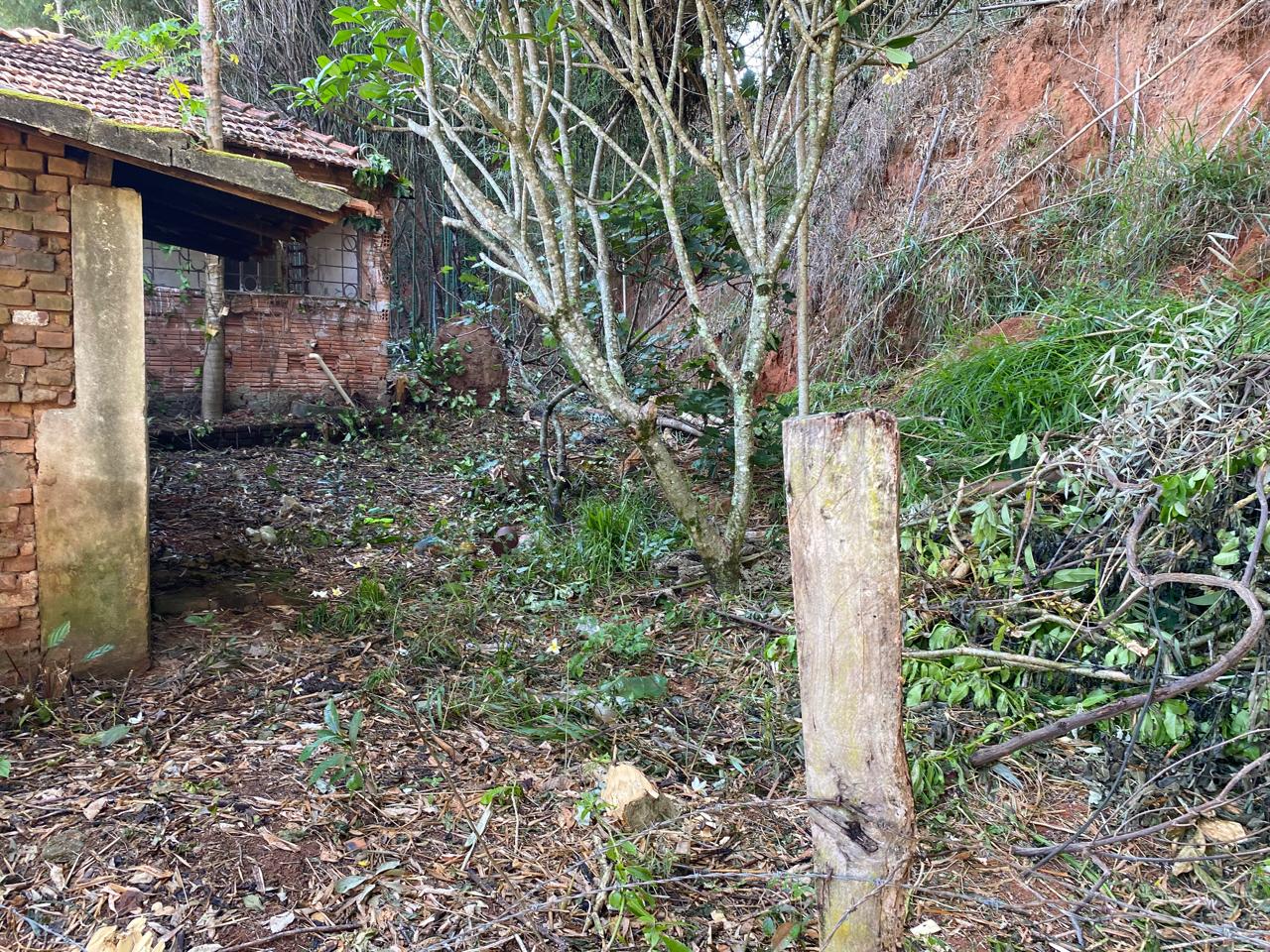 inbound1397589536387344732