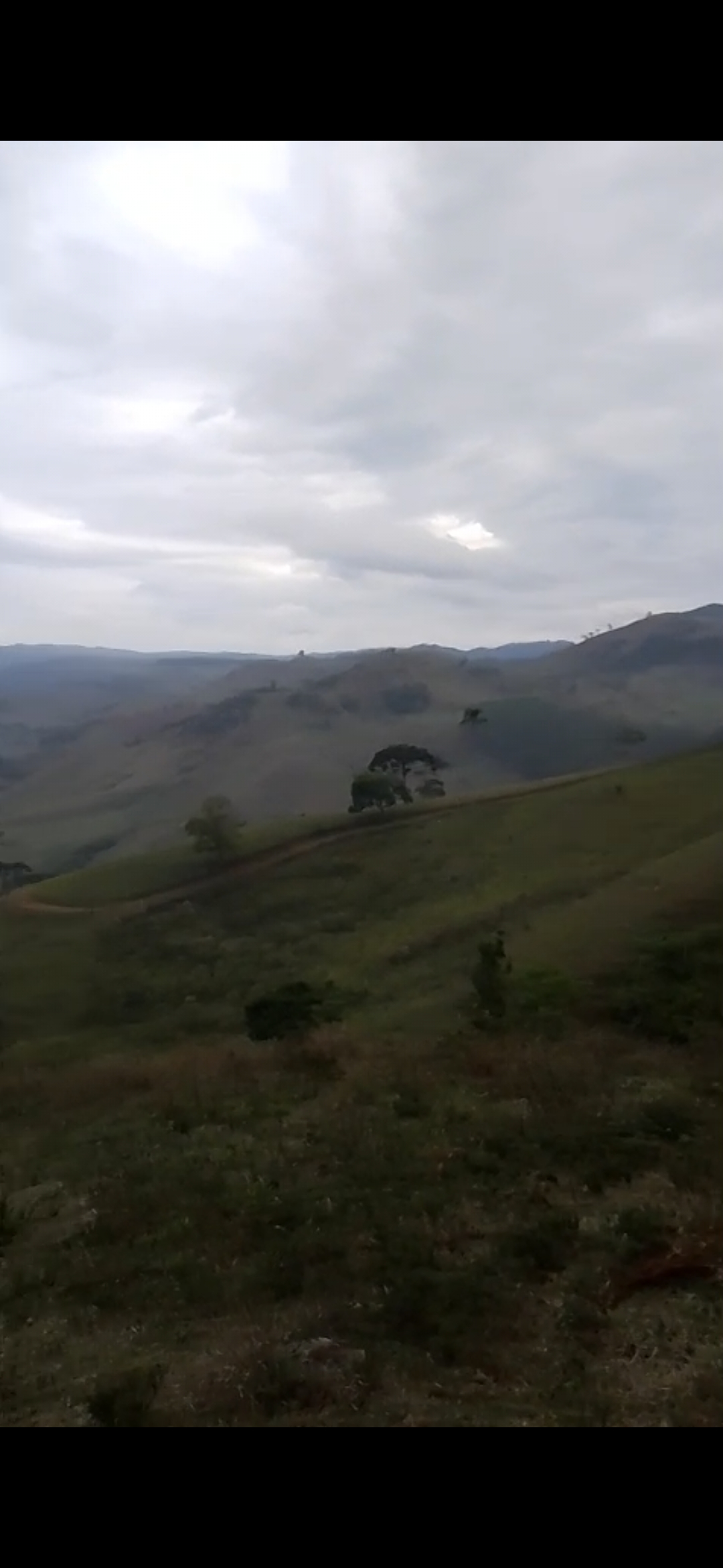 inbound1513954721422162891