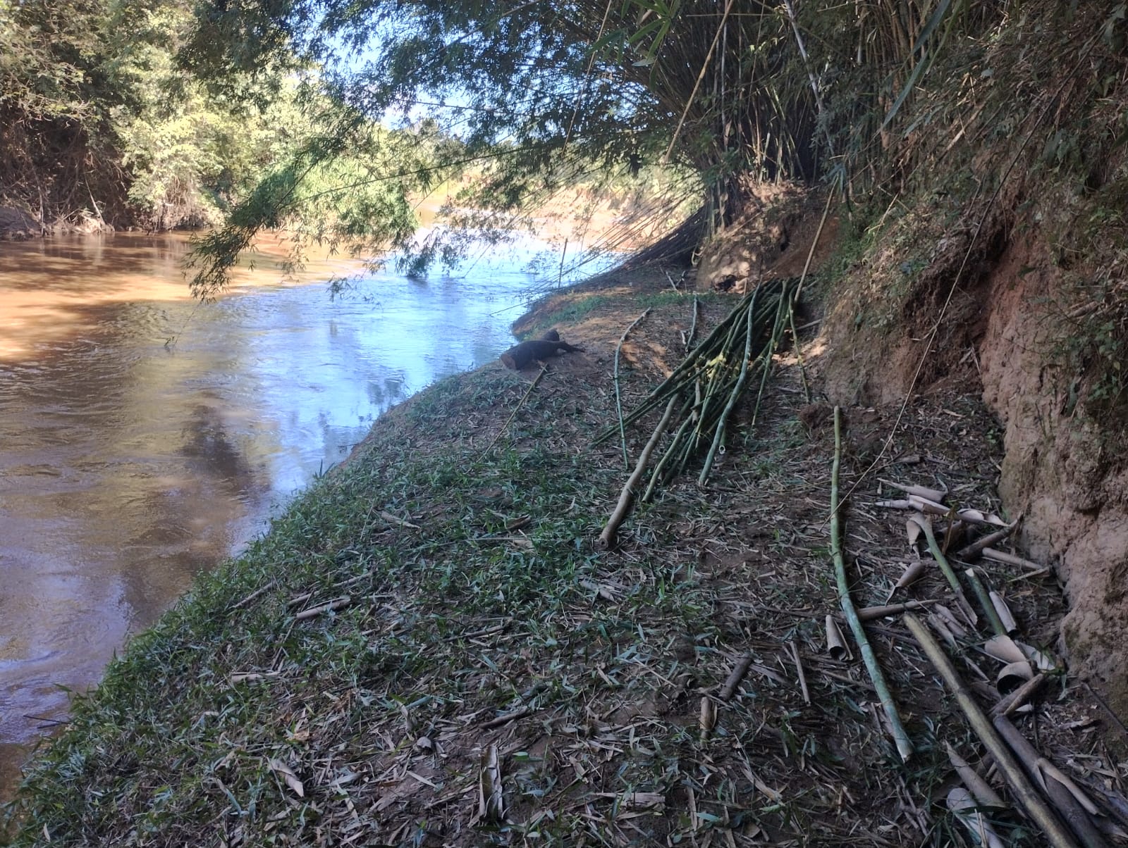 inbound1606697602289622974