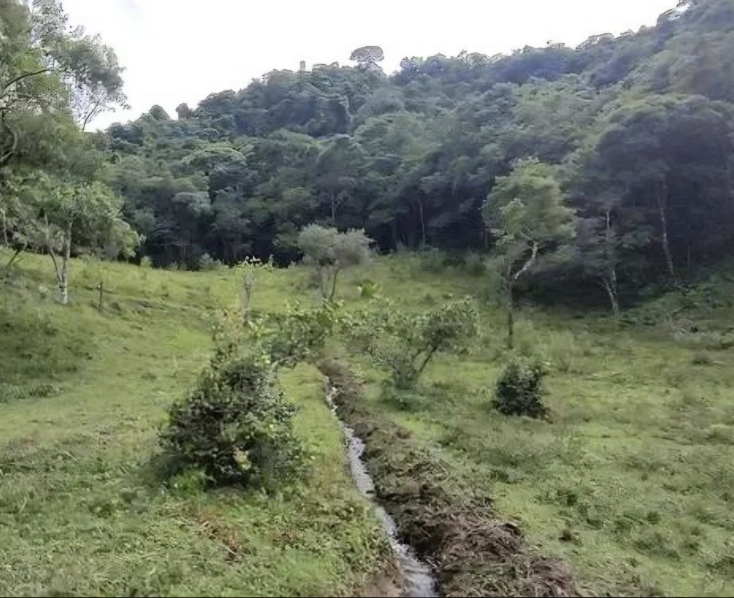 inbound1617511826960670132