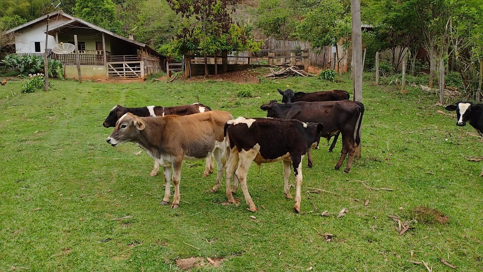 inbound1776460045275188993