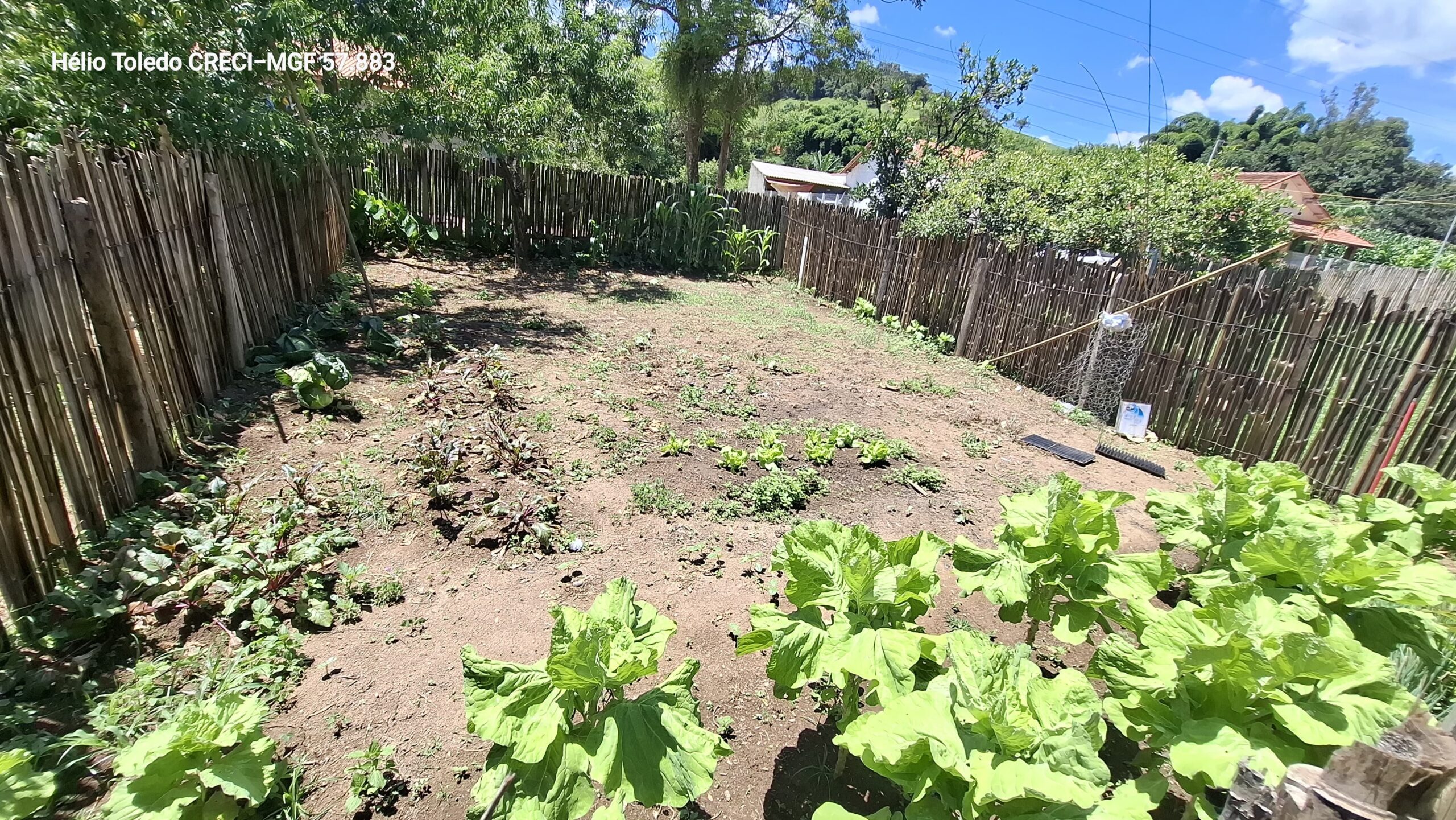 inbound1860973571805898173