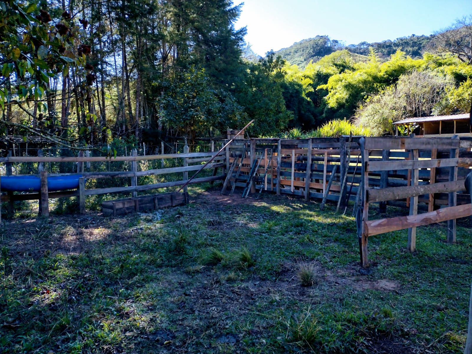 inbound1876561057815656134