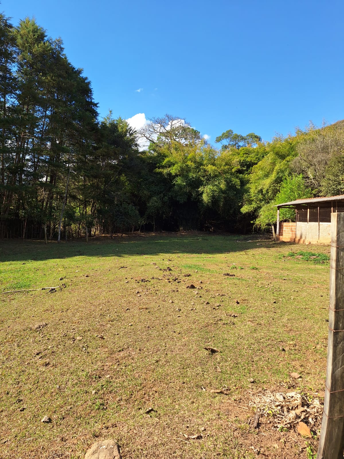 inbound1883327459750787162