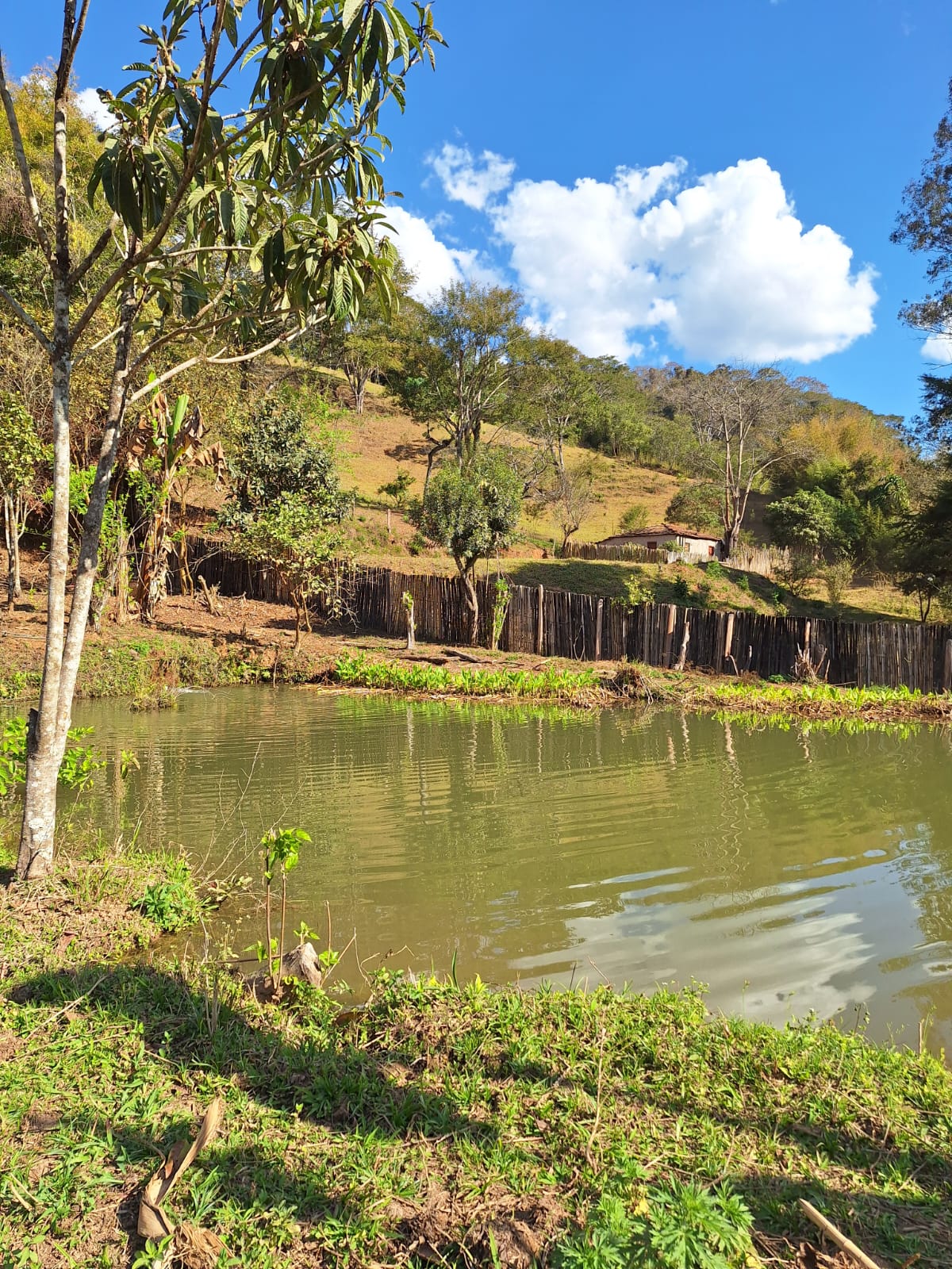 inbound1953304356726035910