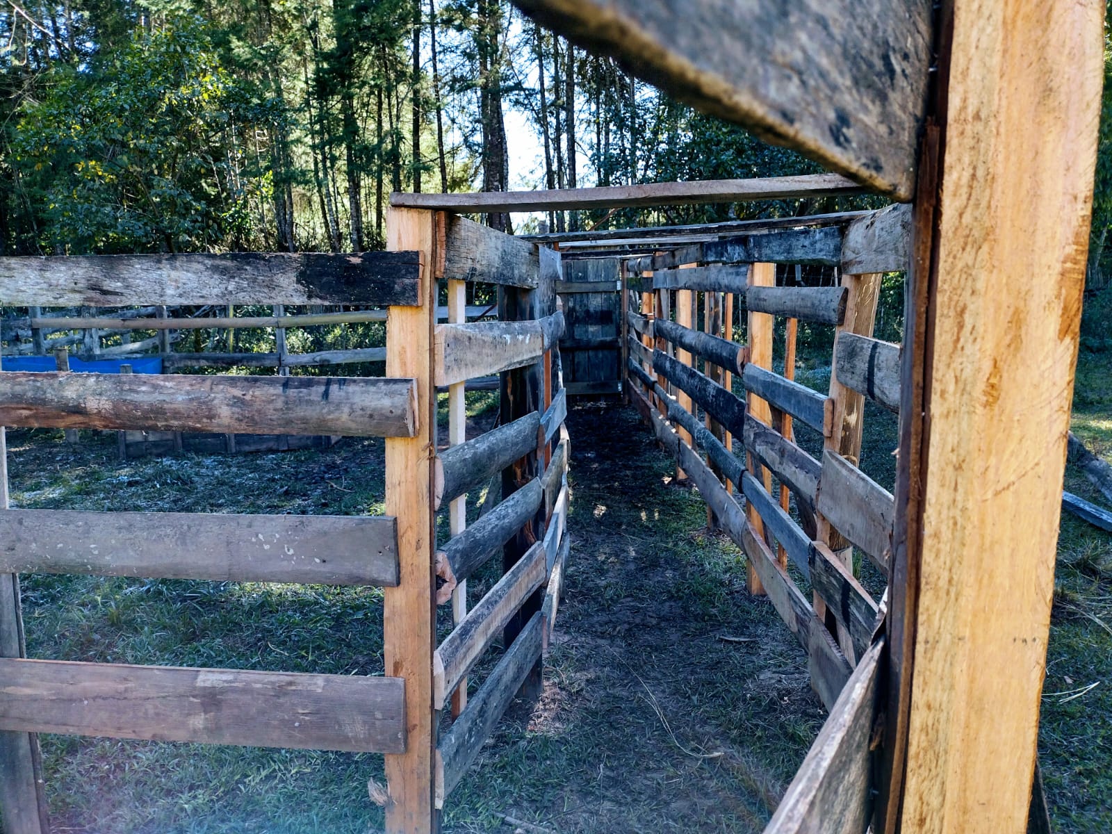 inbound1977121607417742816