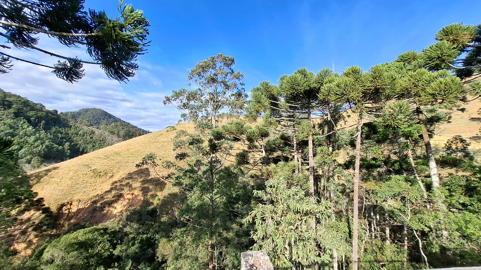 inbound2290629533239798852