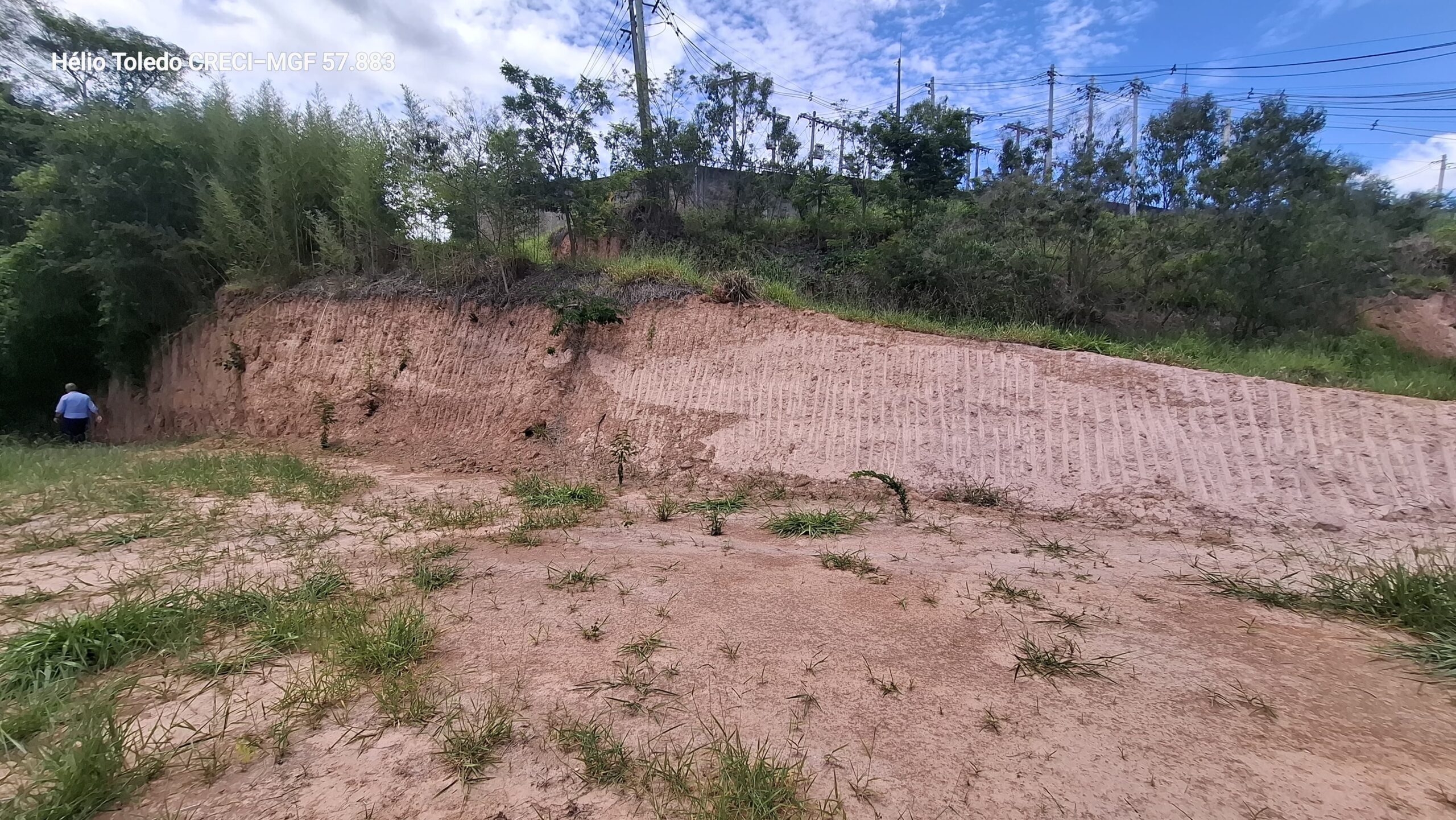 inbound2293966203537091498