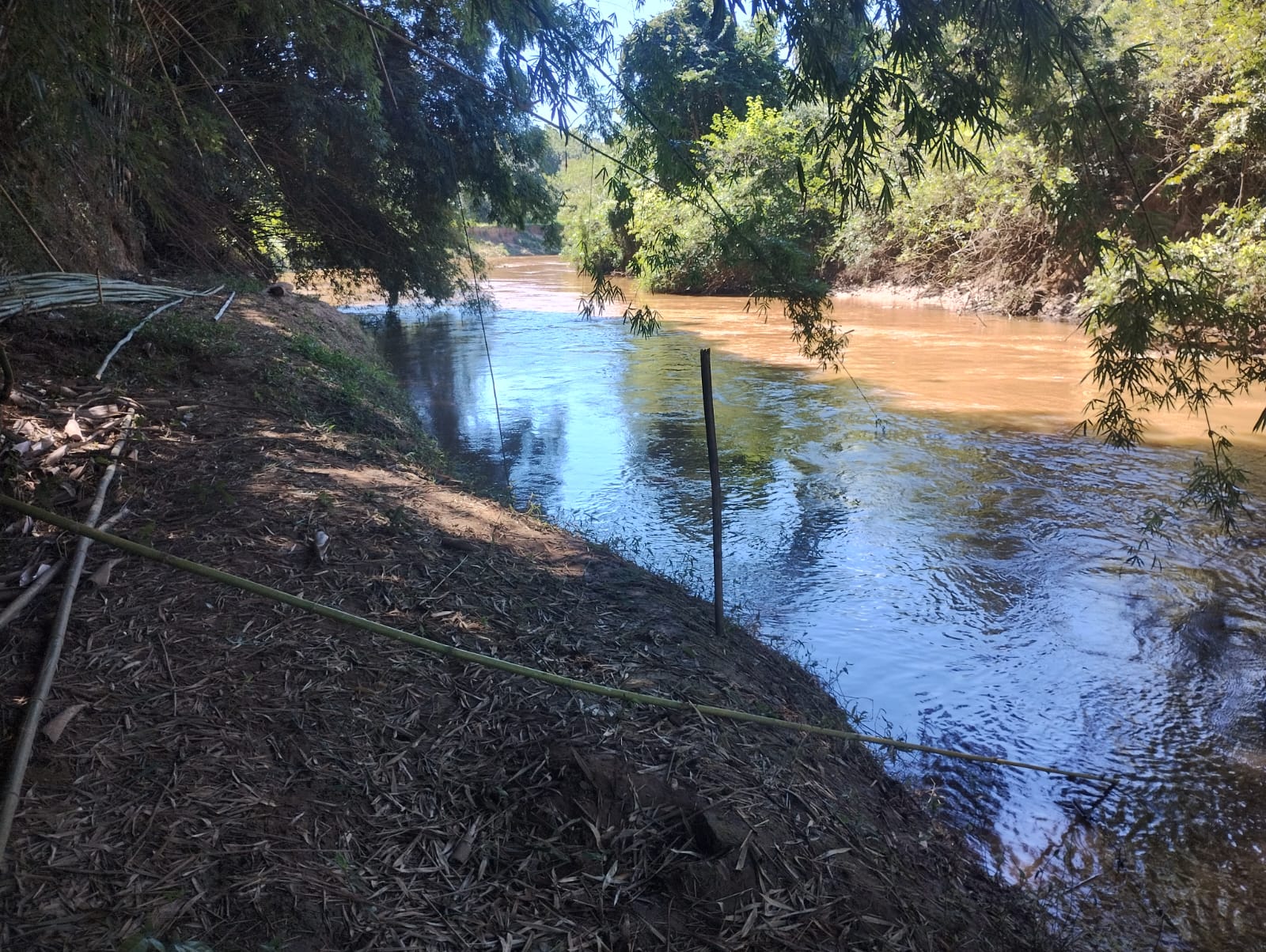 inbound2463707386436463566