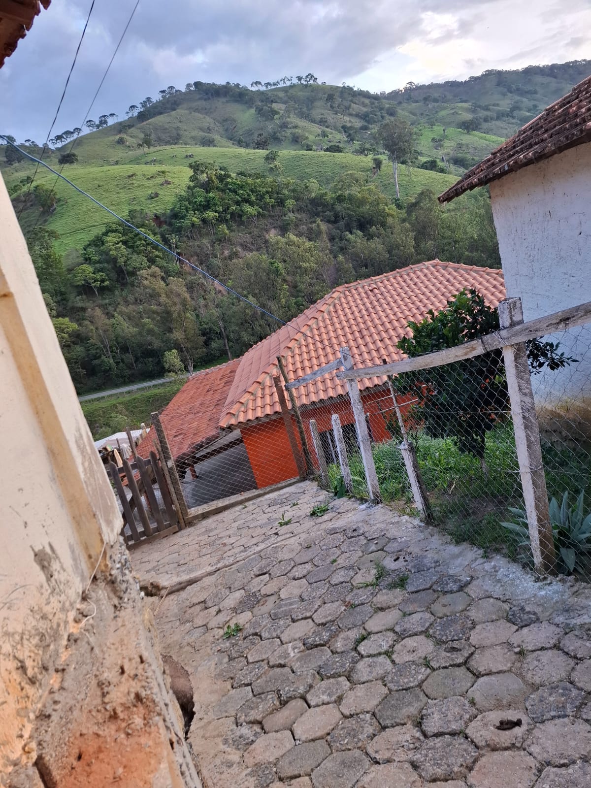 inbound3007767153972410488