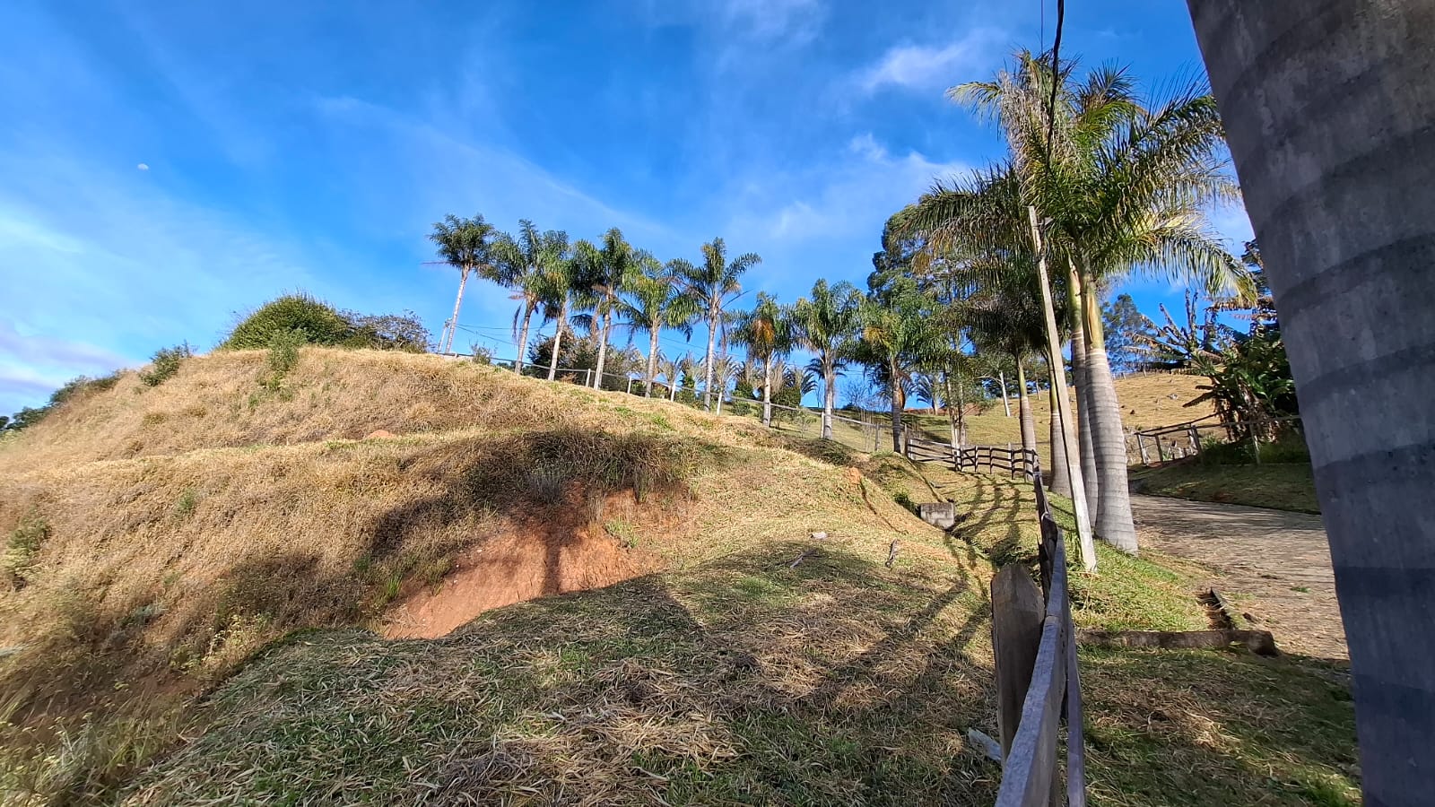 inbound3515544263346101907