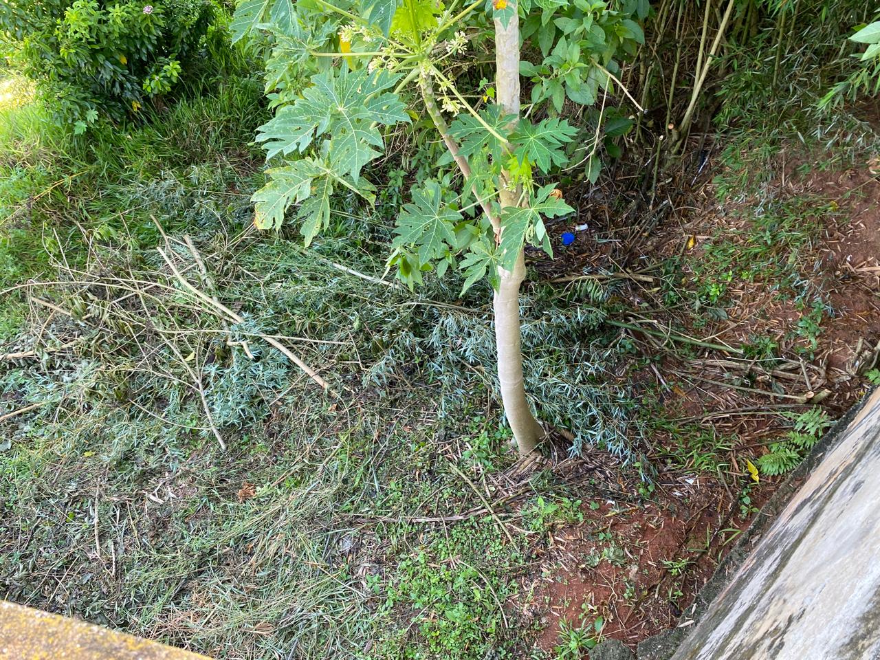 inbound3551625487001481481