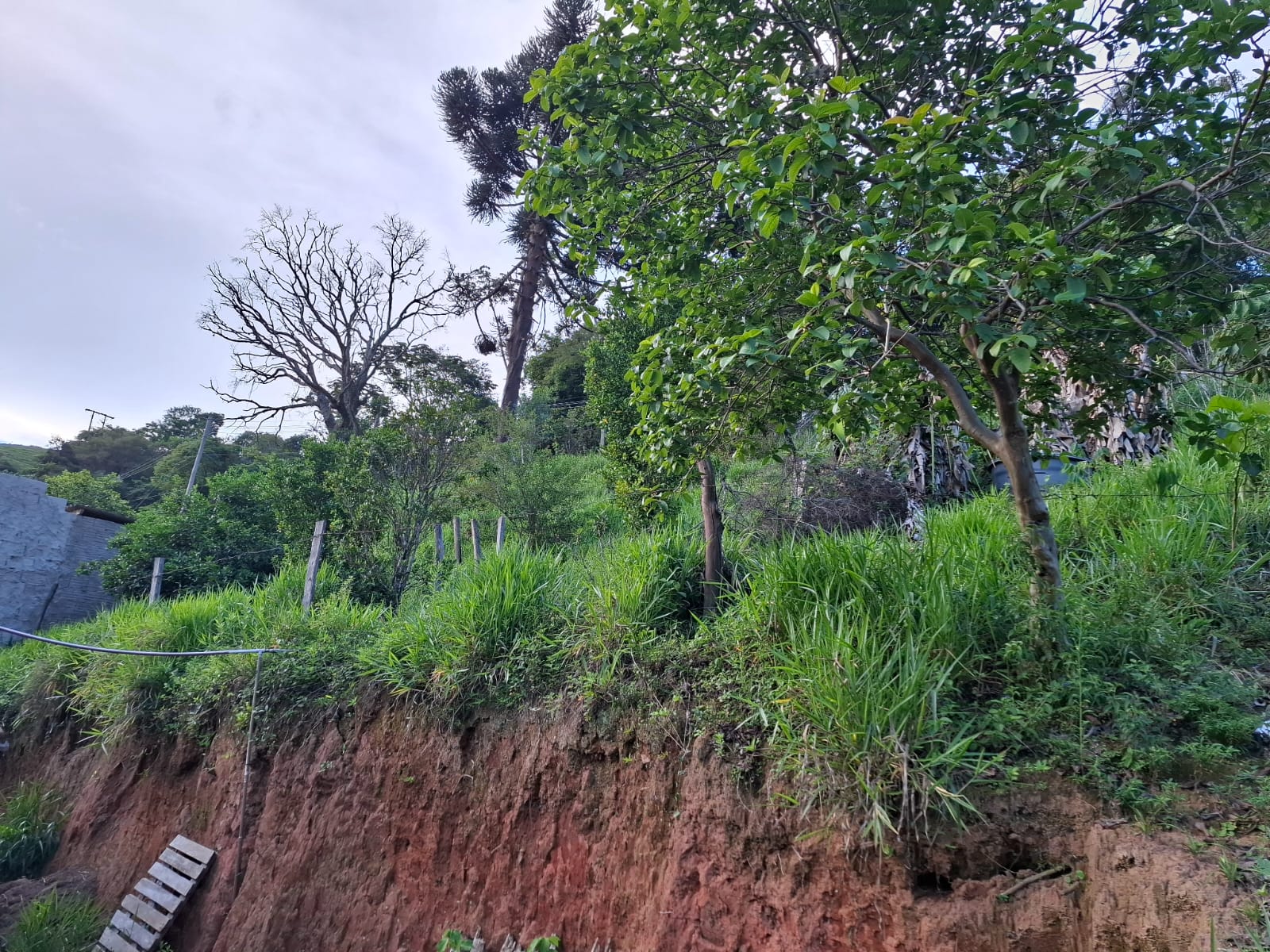 inbound3614336522121596636