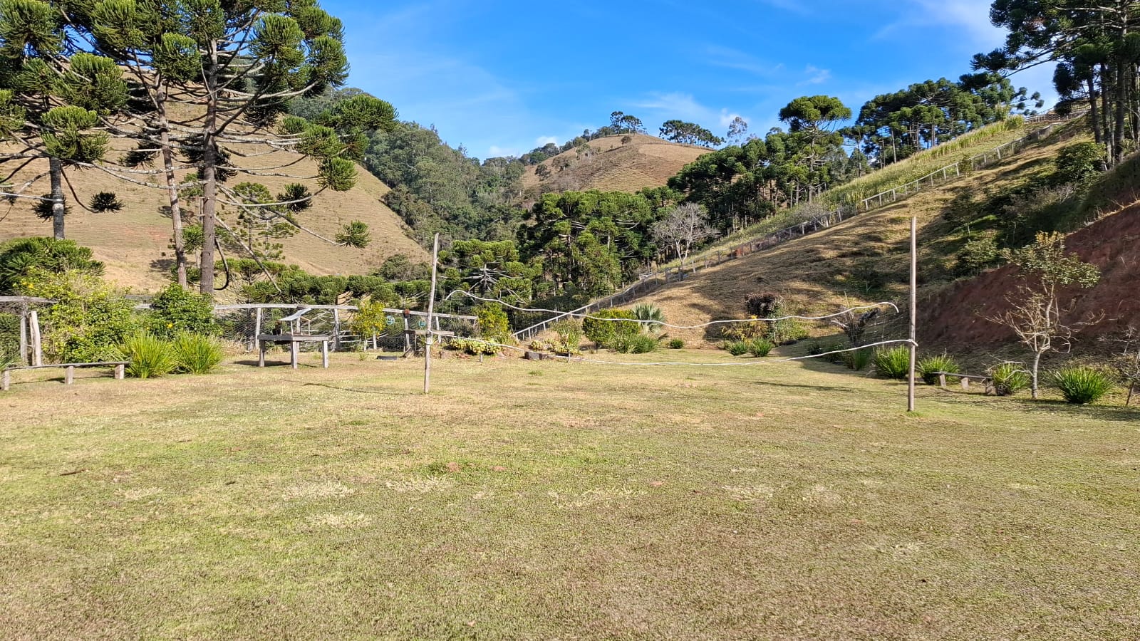 inbound3615742866046579281