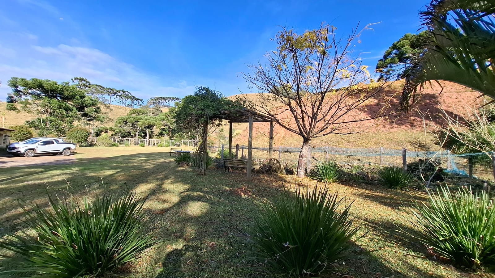 inbound3898872380628189106