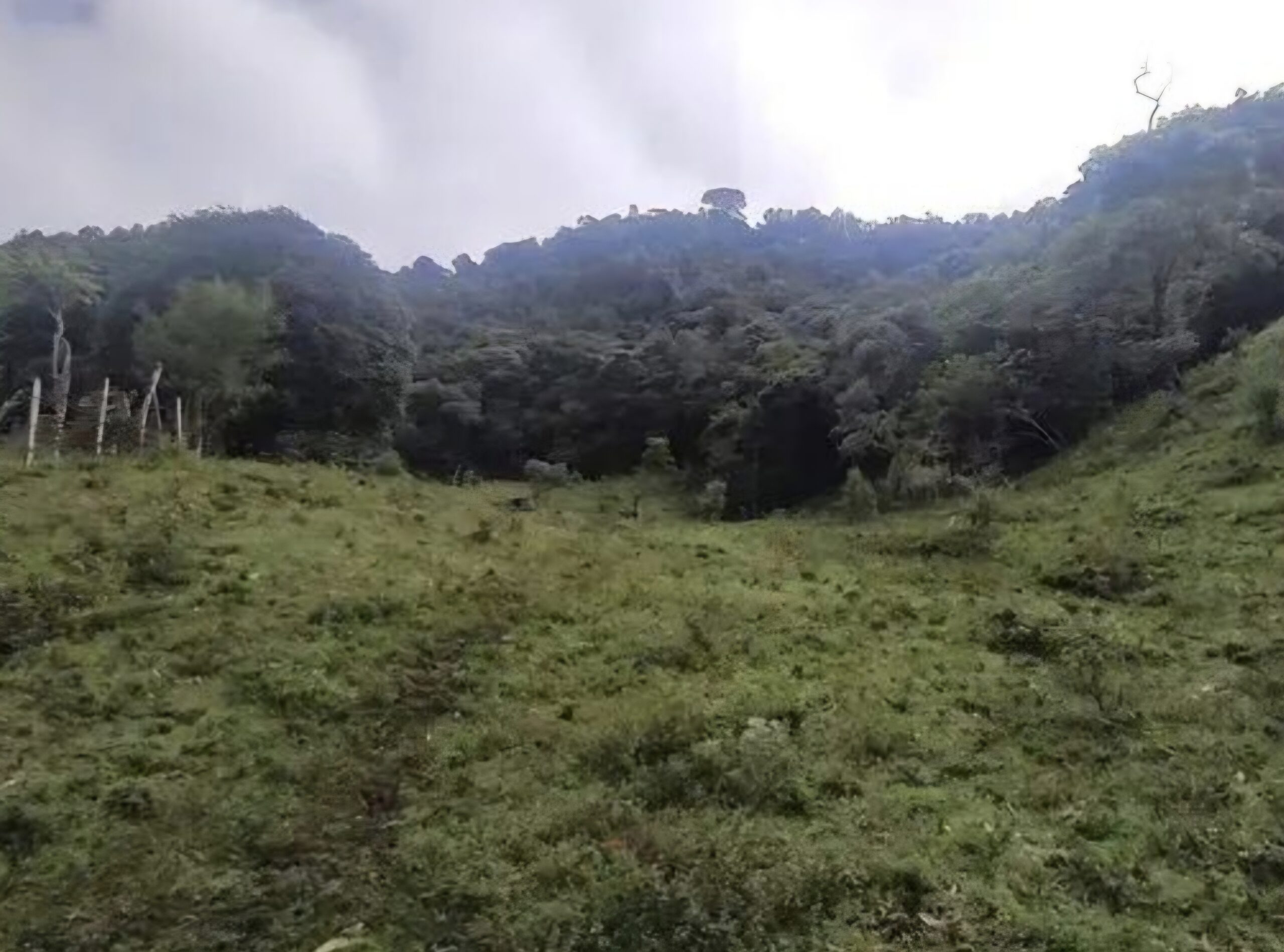 inbound3982378134365541134