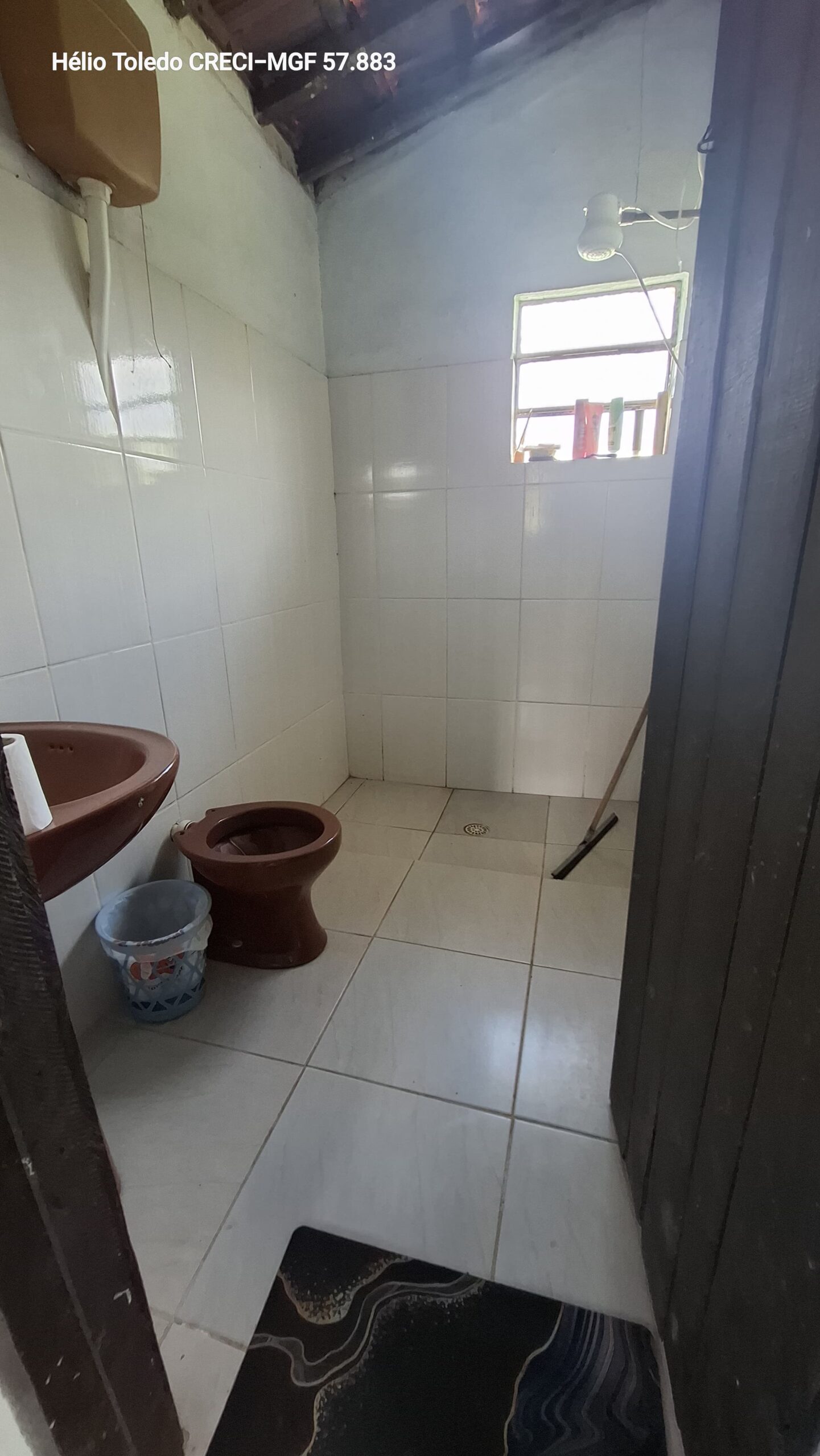 inbound4044412584667643481