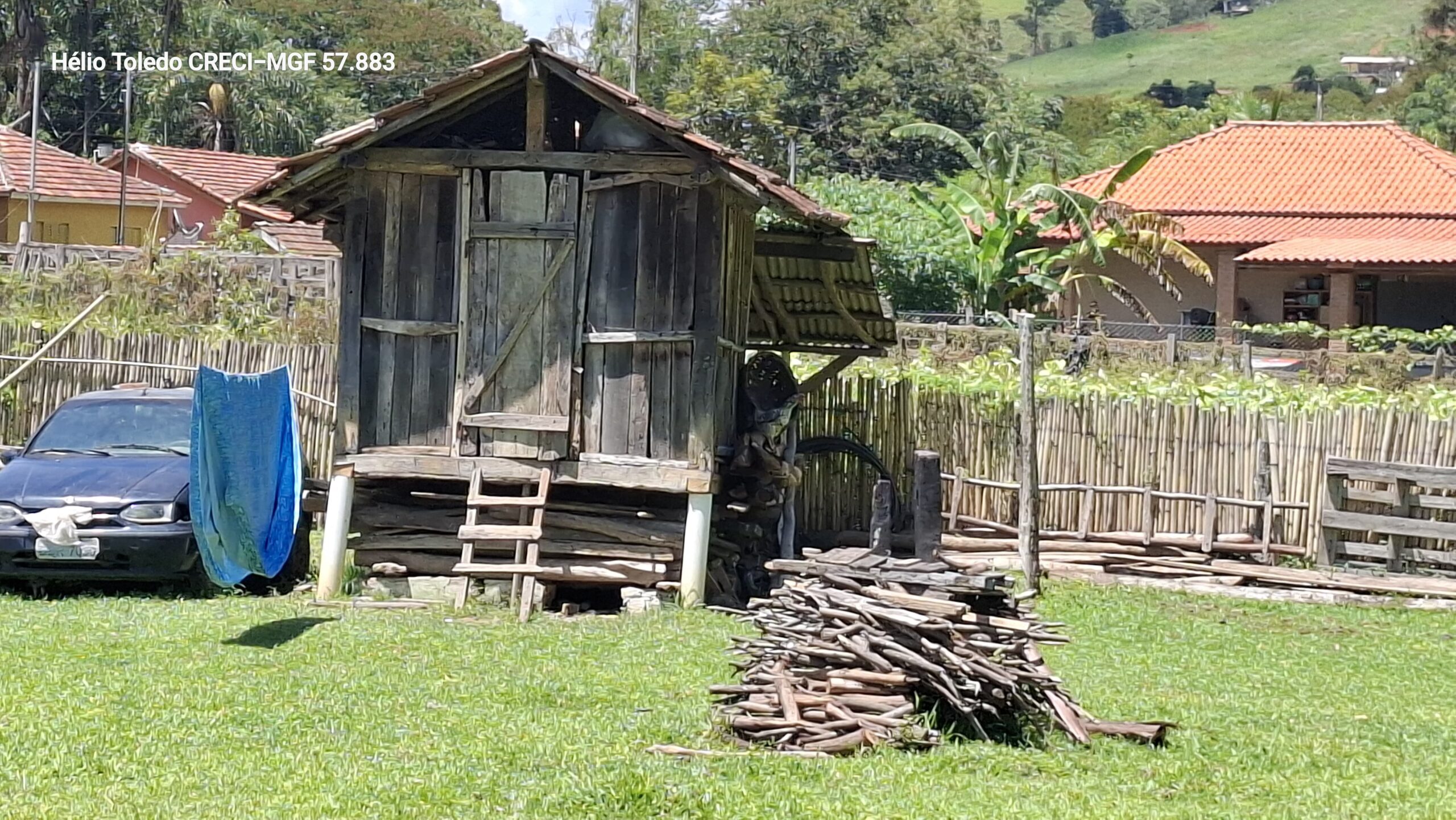 inbound4054820266185219785