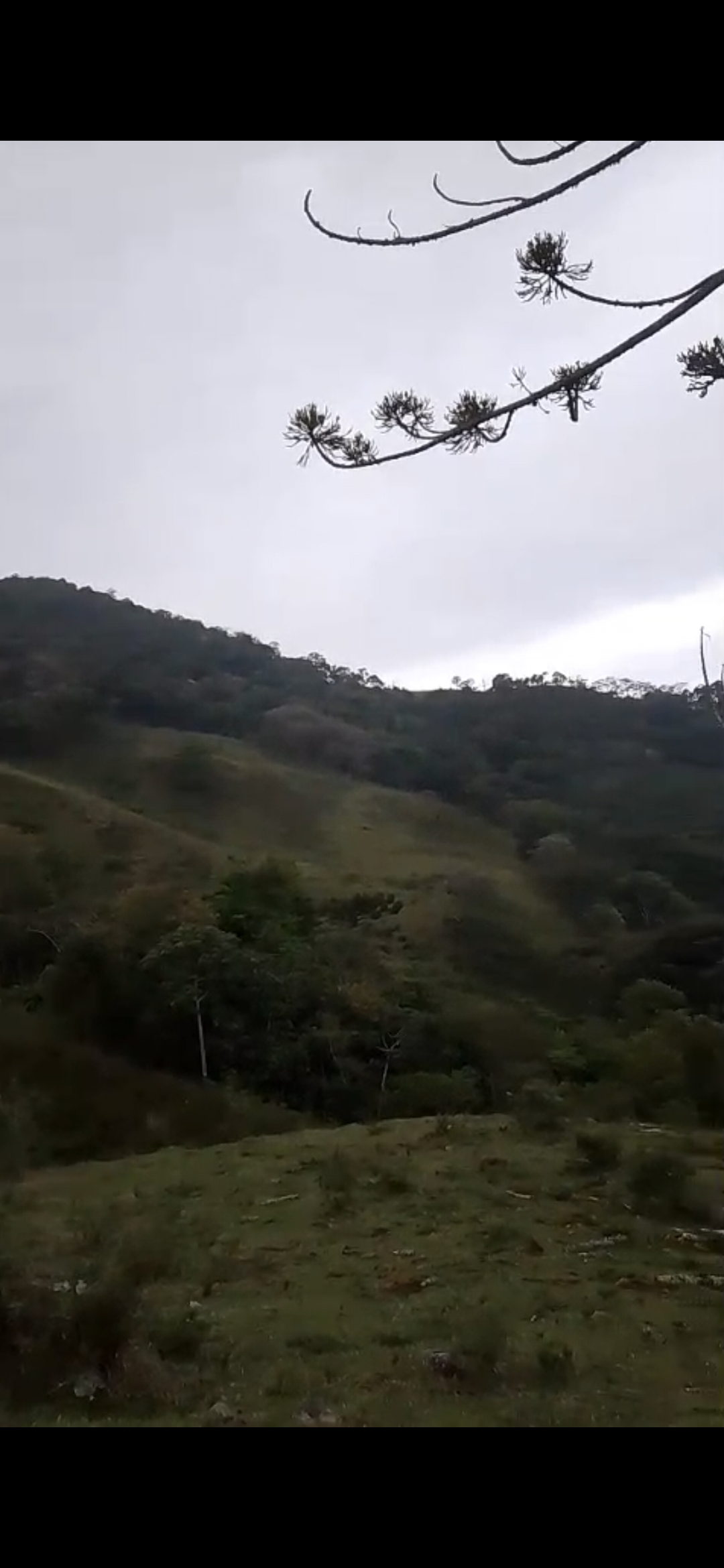 inbound4569305907571179541