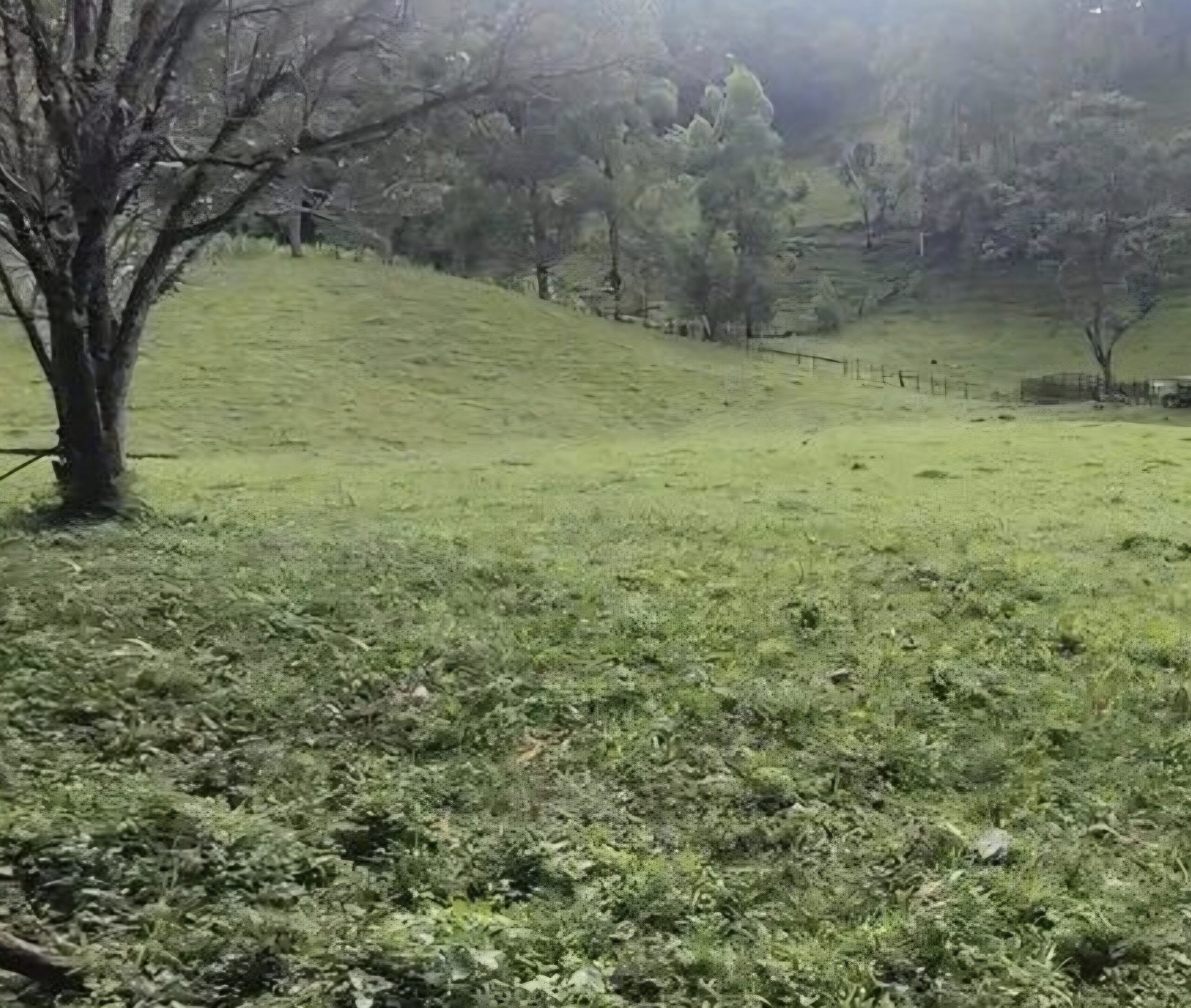 inbound4645381637684879851