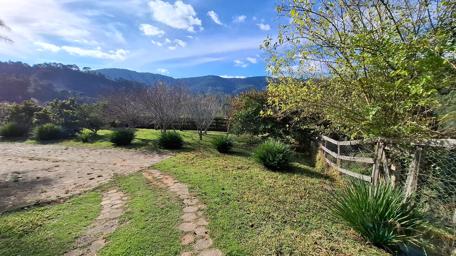 inbound4785717918261516224