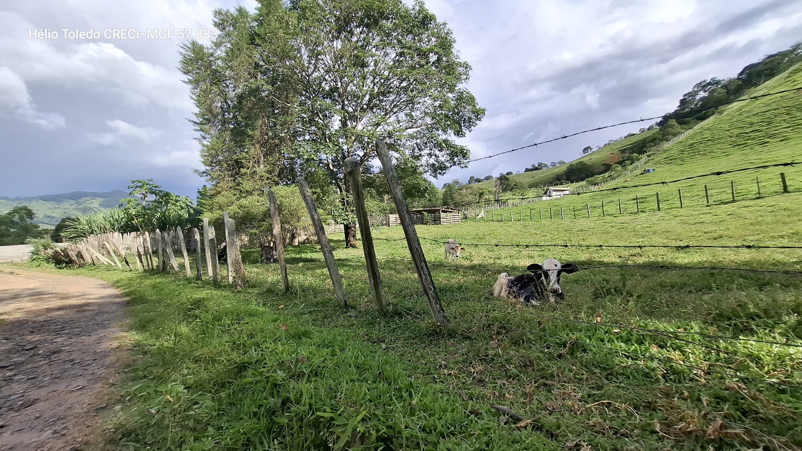 inbound4803022093783541495