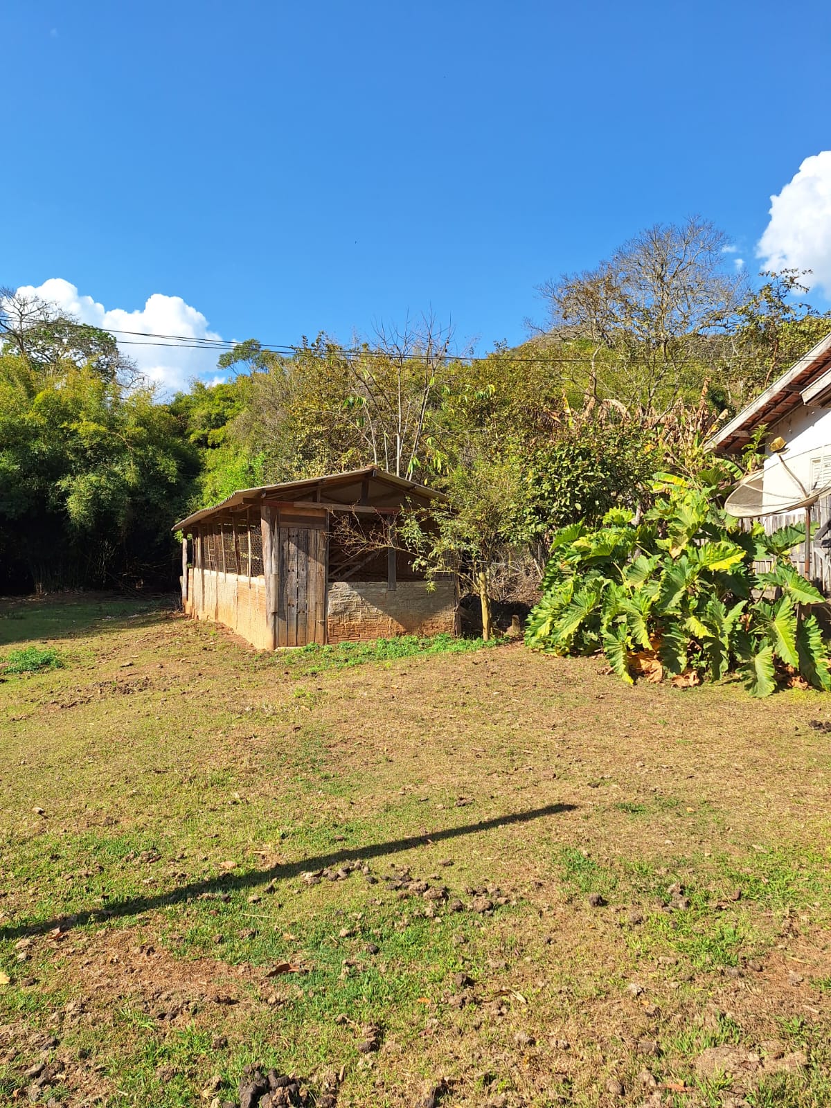 inbound4845202063331351366