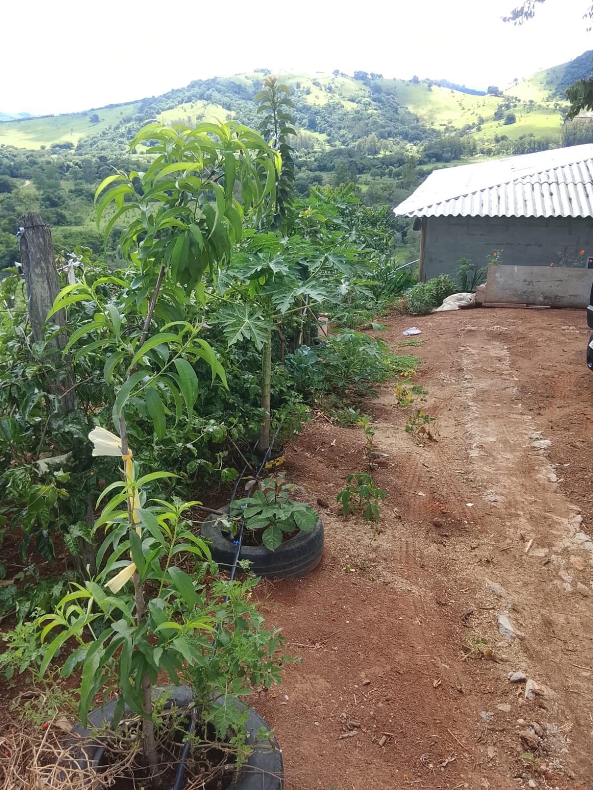 inbound487851296135834629