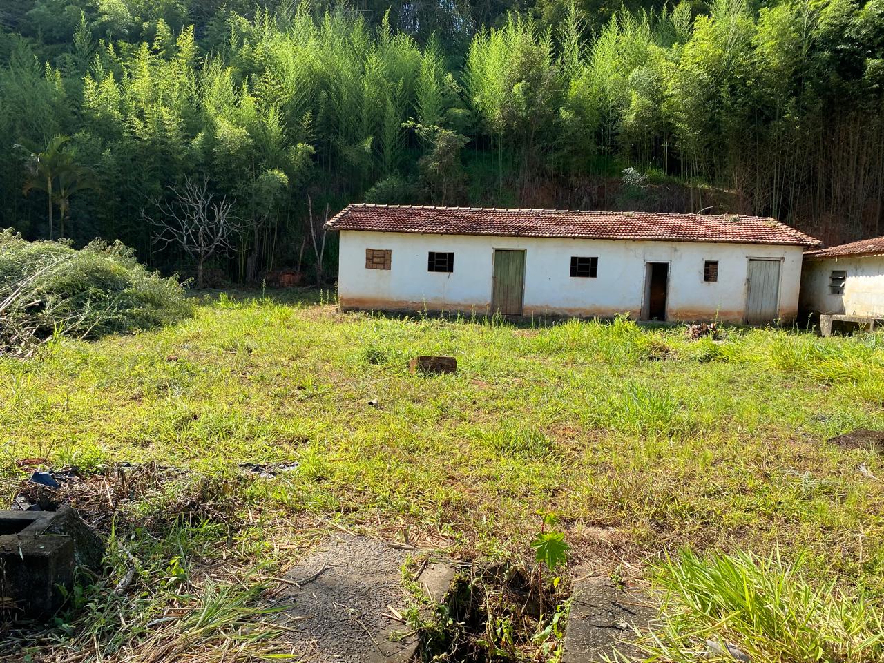 inbound4906849047223967132