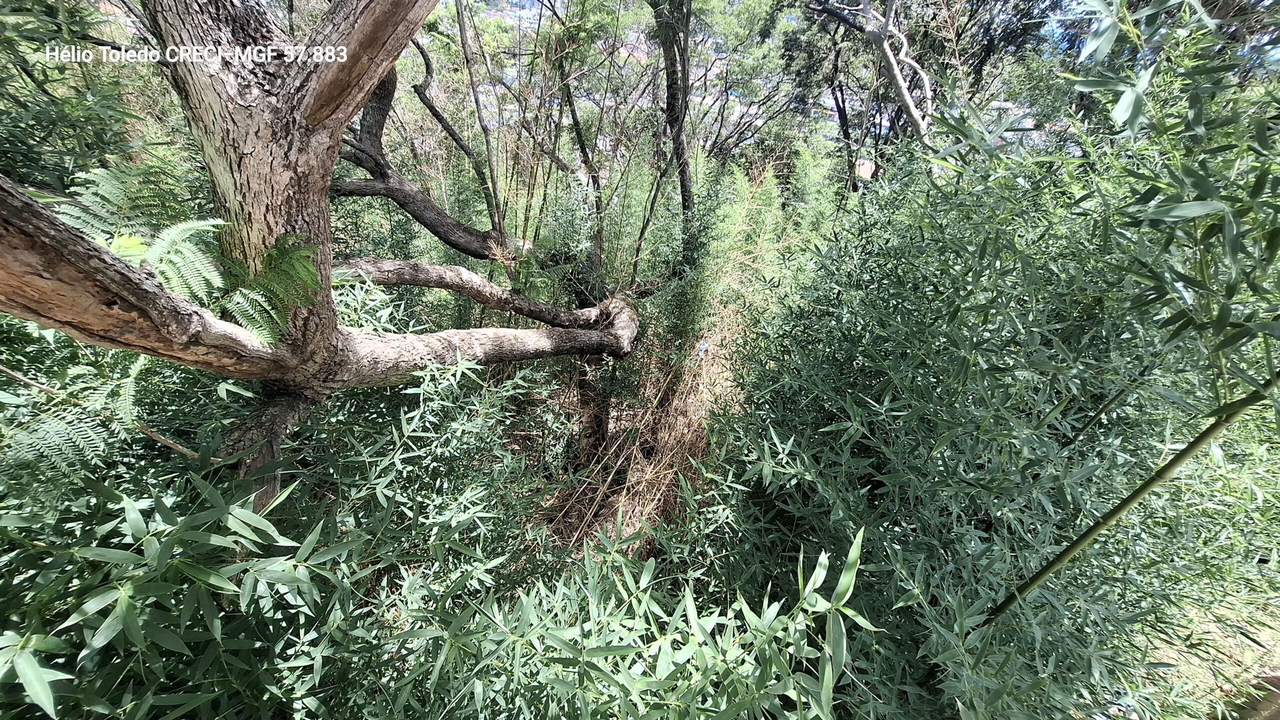 inbound5095836863932885439