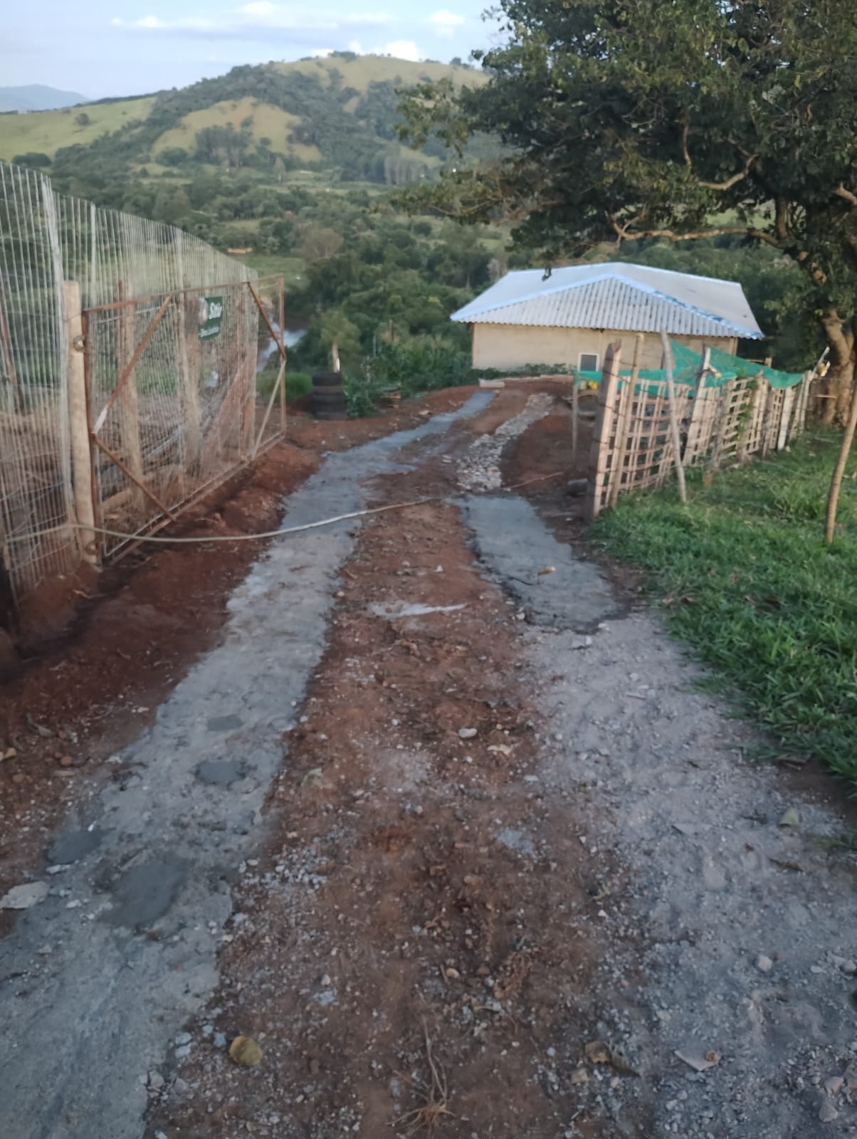 inbound5255075037816858390