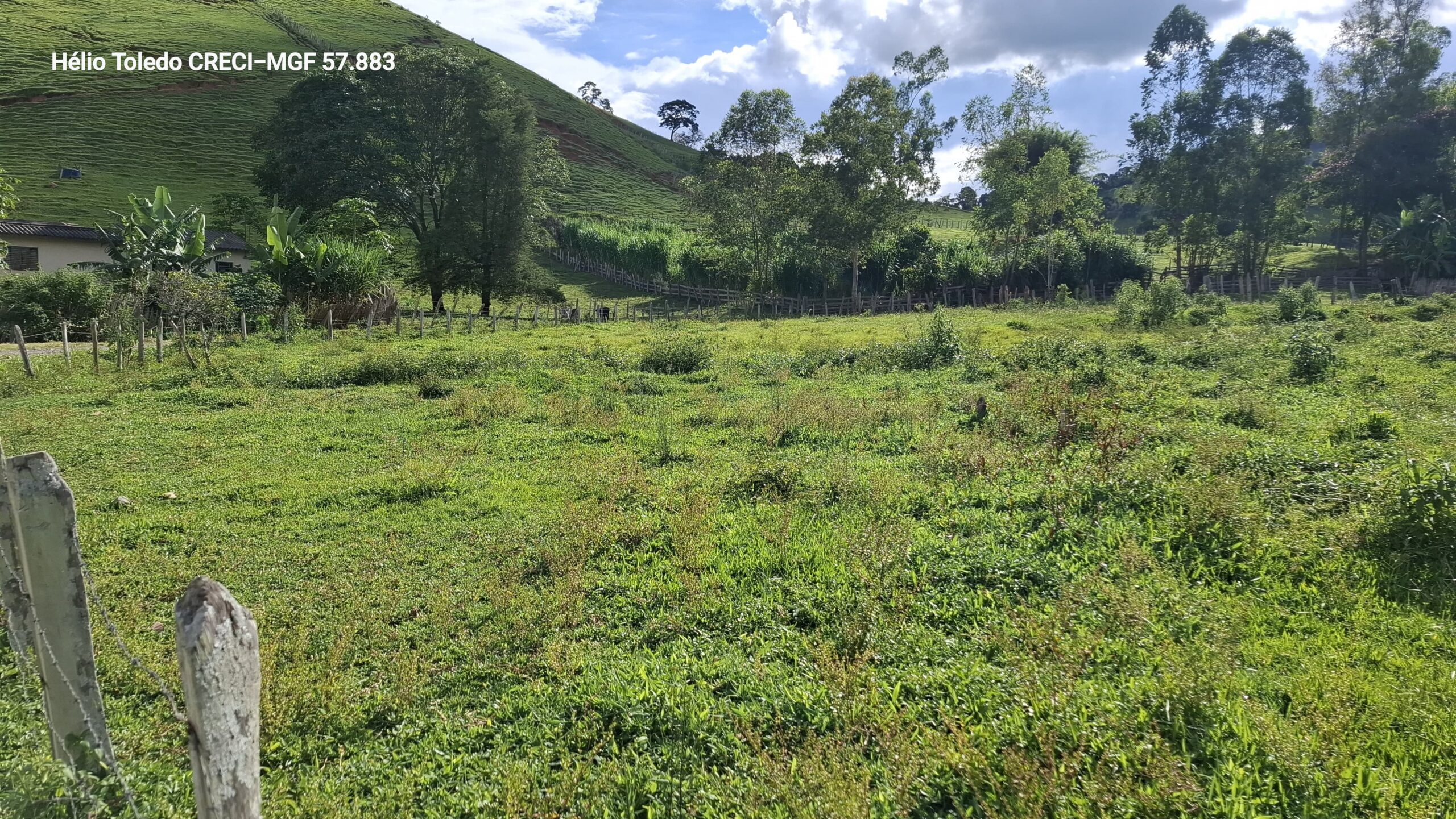 inbound531730555888863603