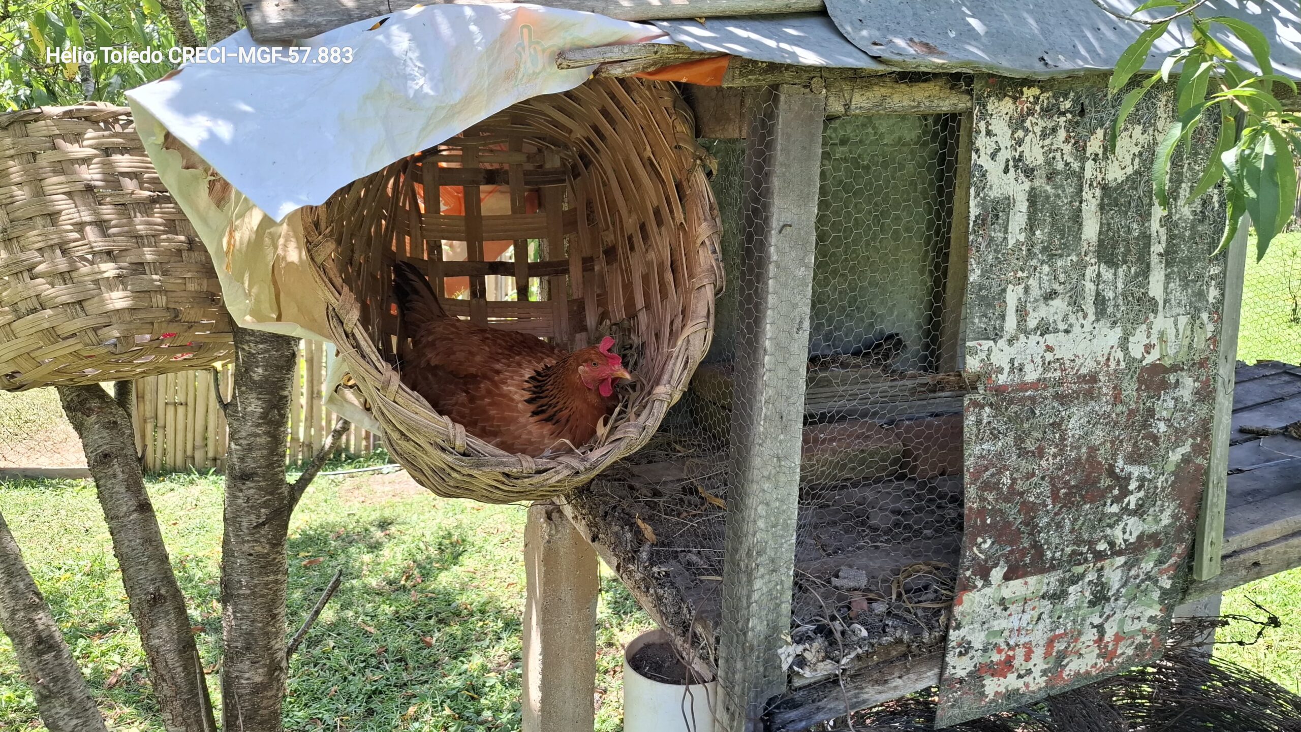 inbound5337930468770248277