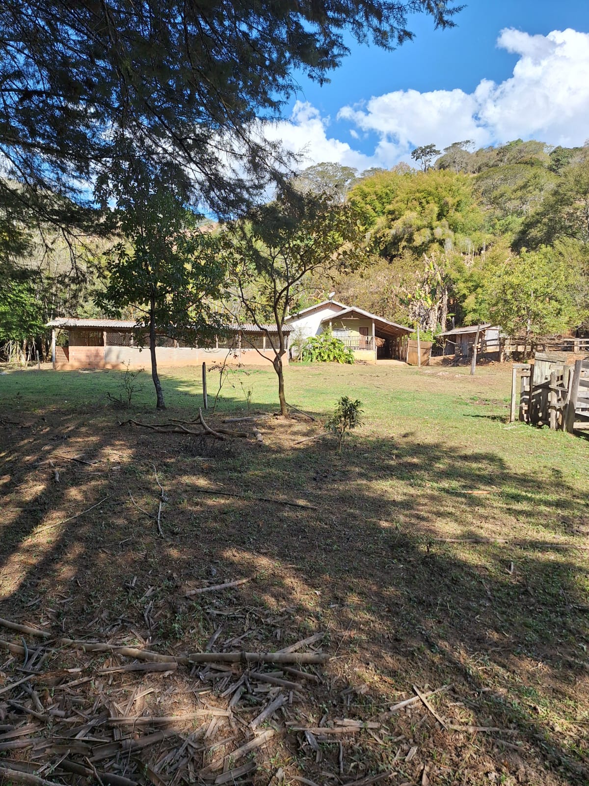 inbound536563952436336178