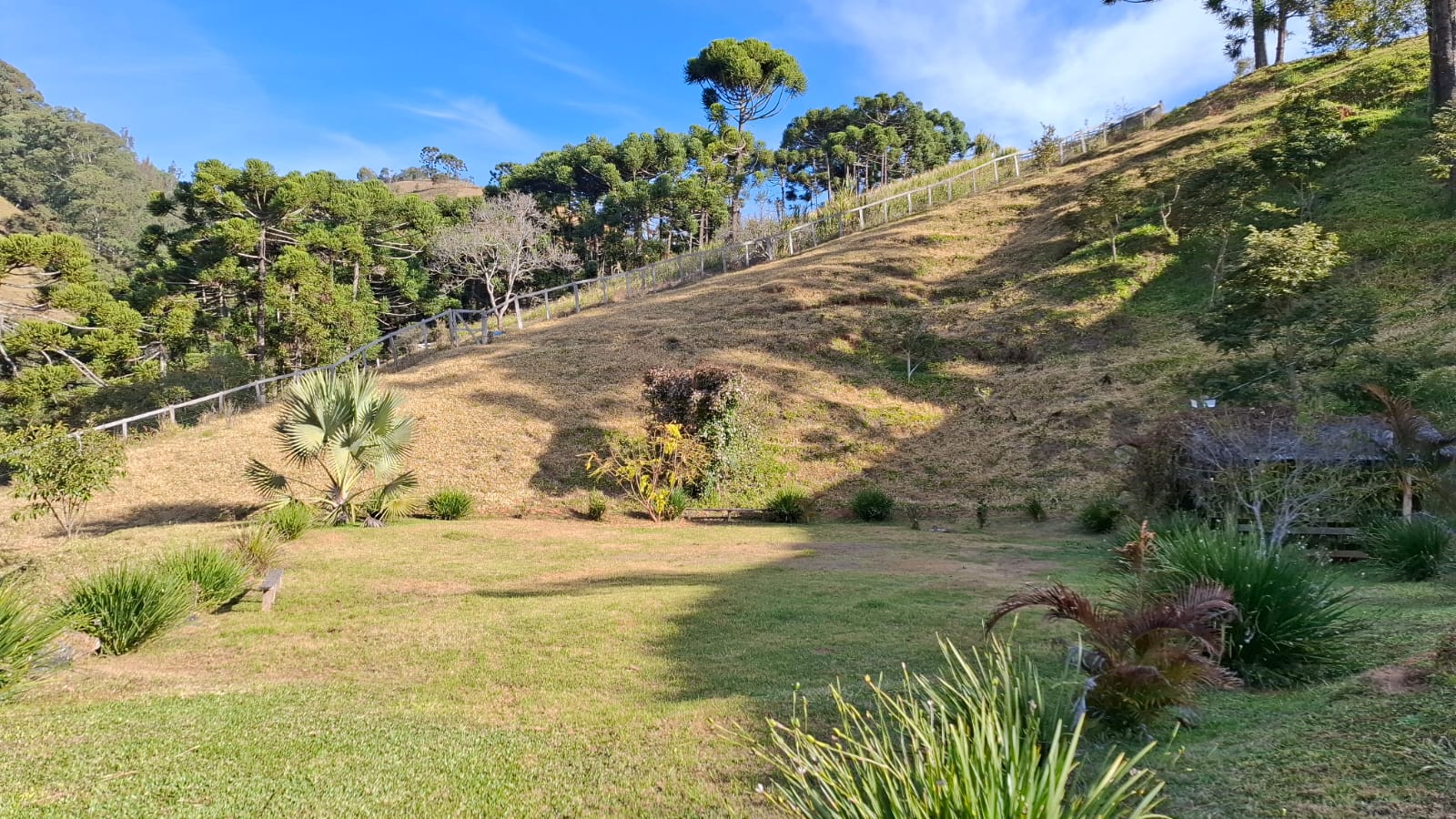 inbound5514045821064936826