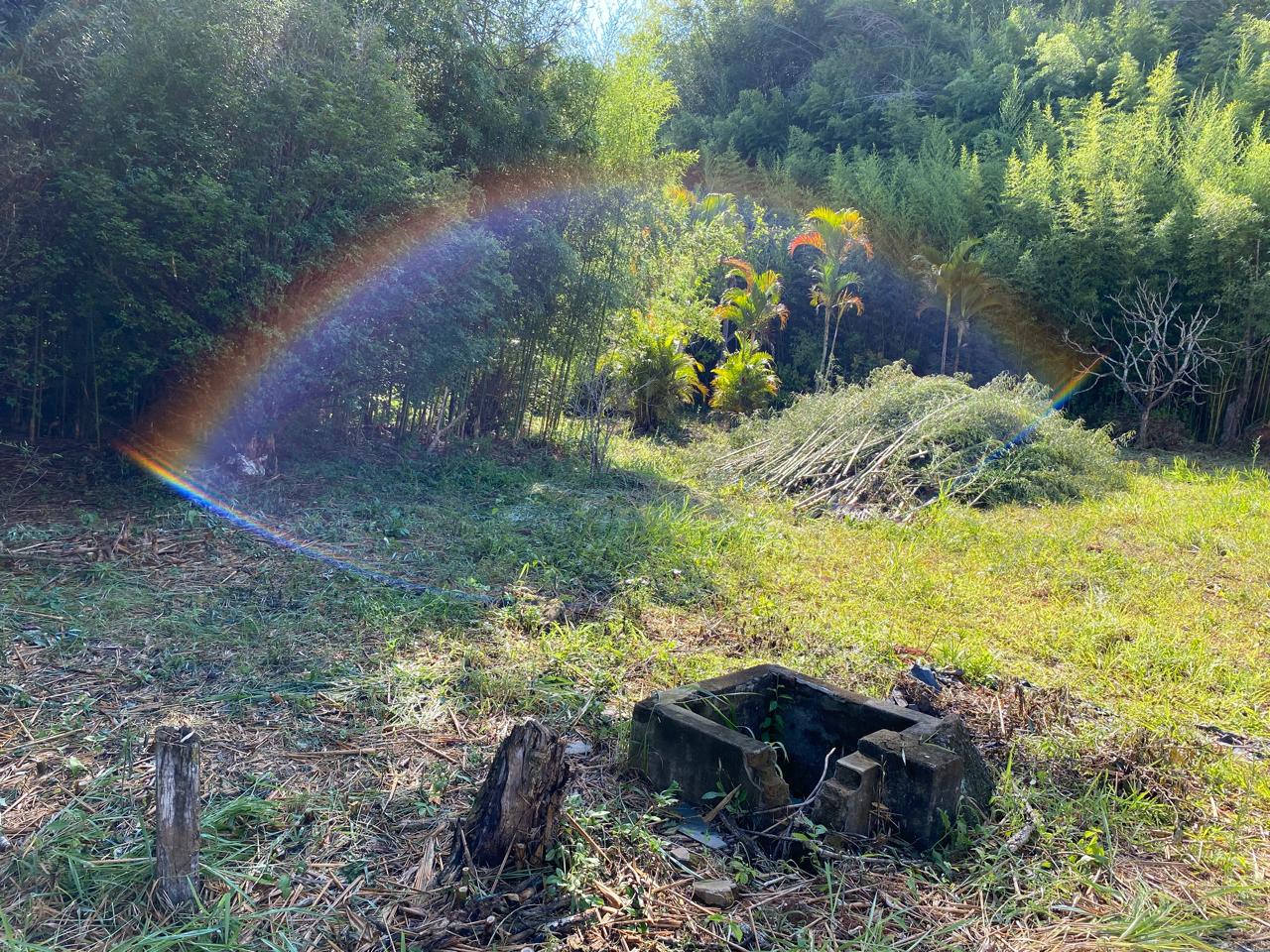 inbound5532761657689121732