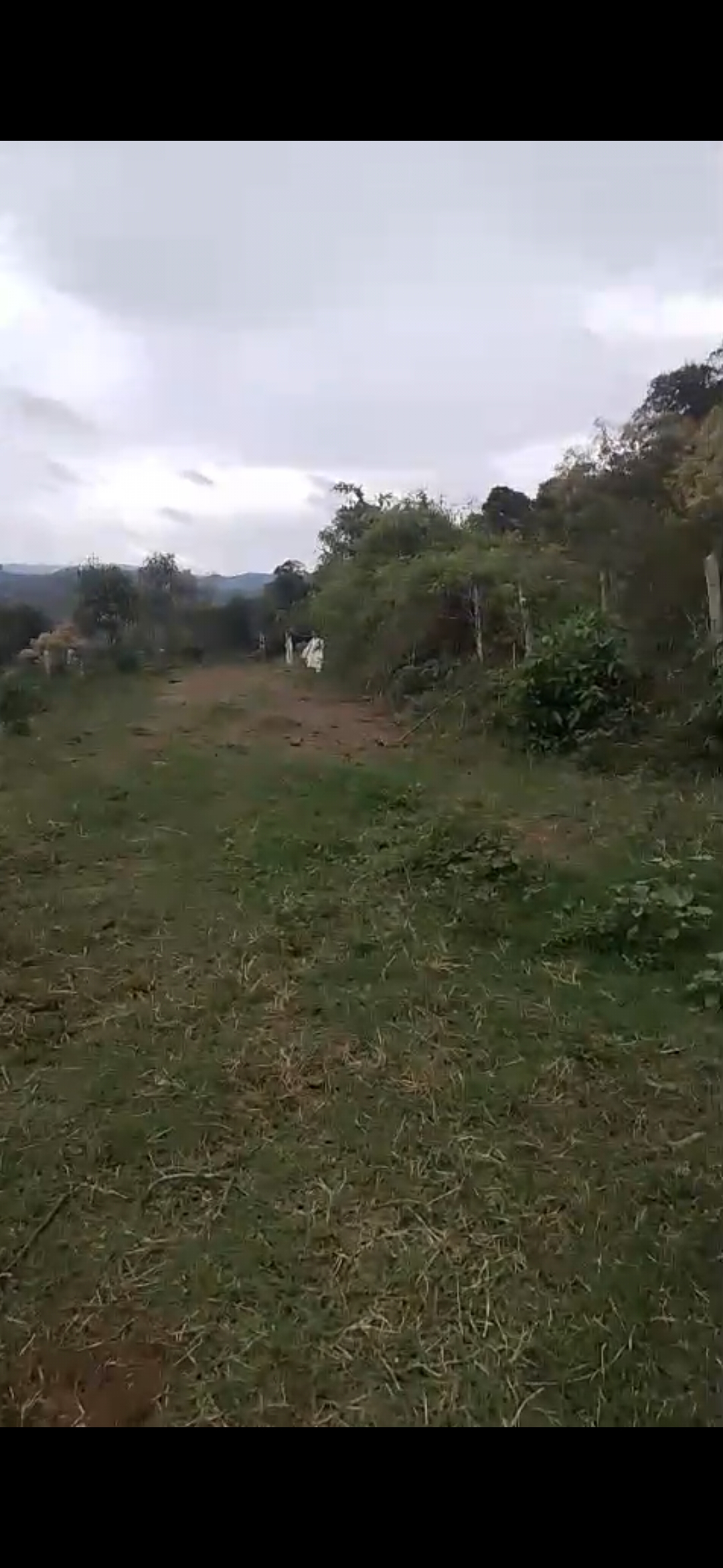 inbound5601542035164387445