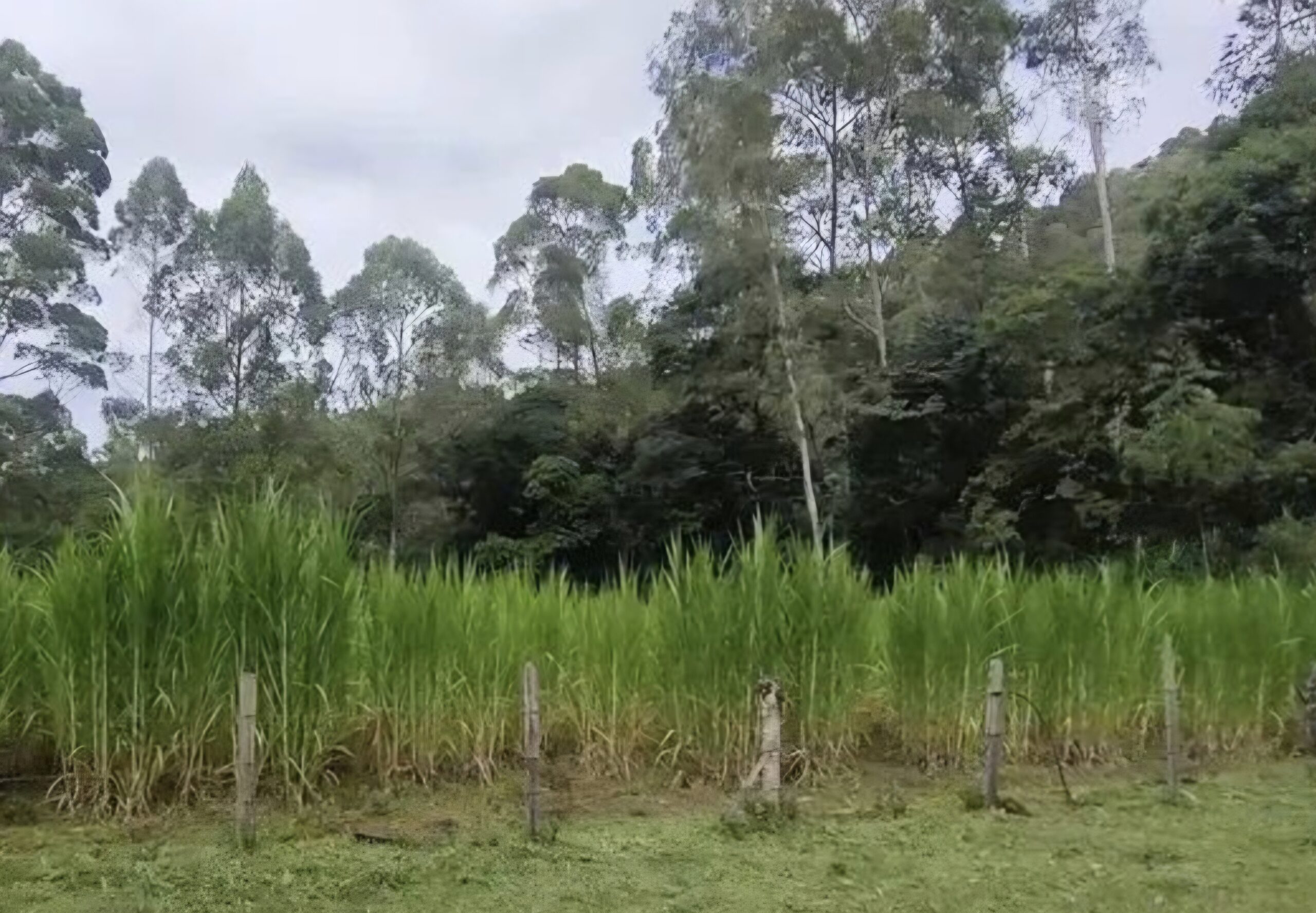 inbound5828528593843436950