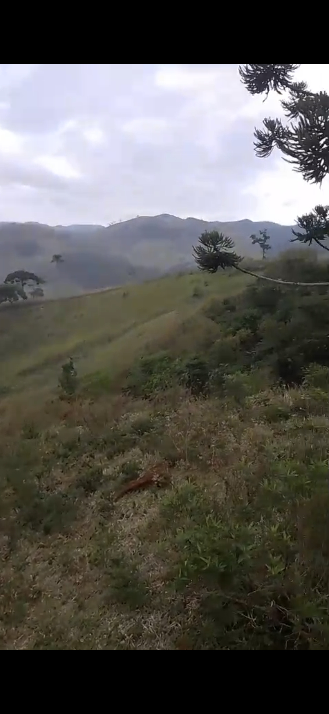 inbound6014571526745224727