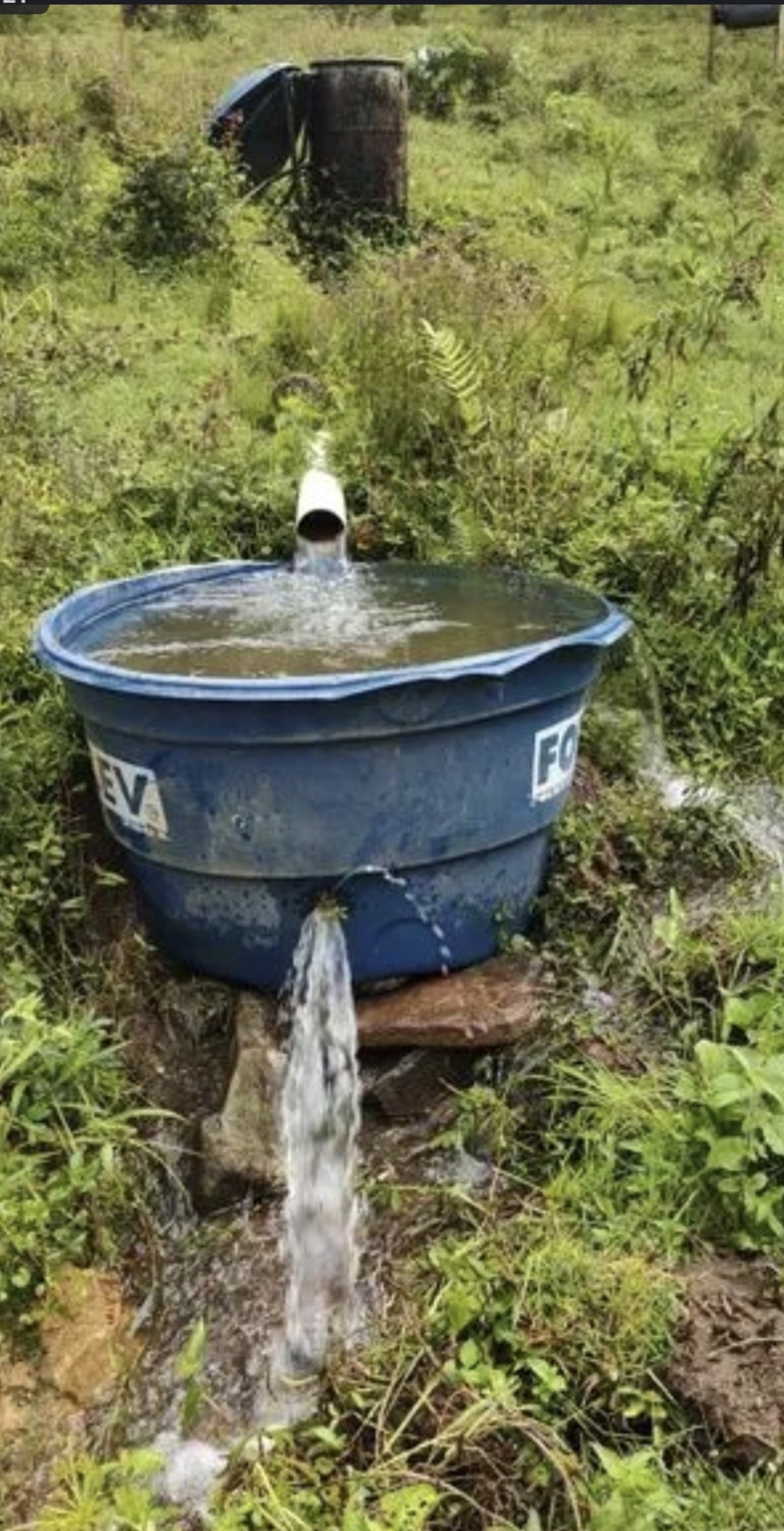 inbound6115950554663773300