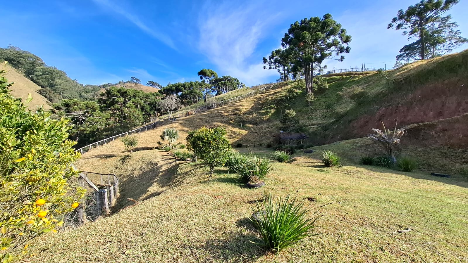 inbound6287626615121747145