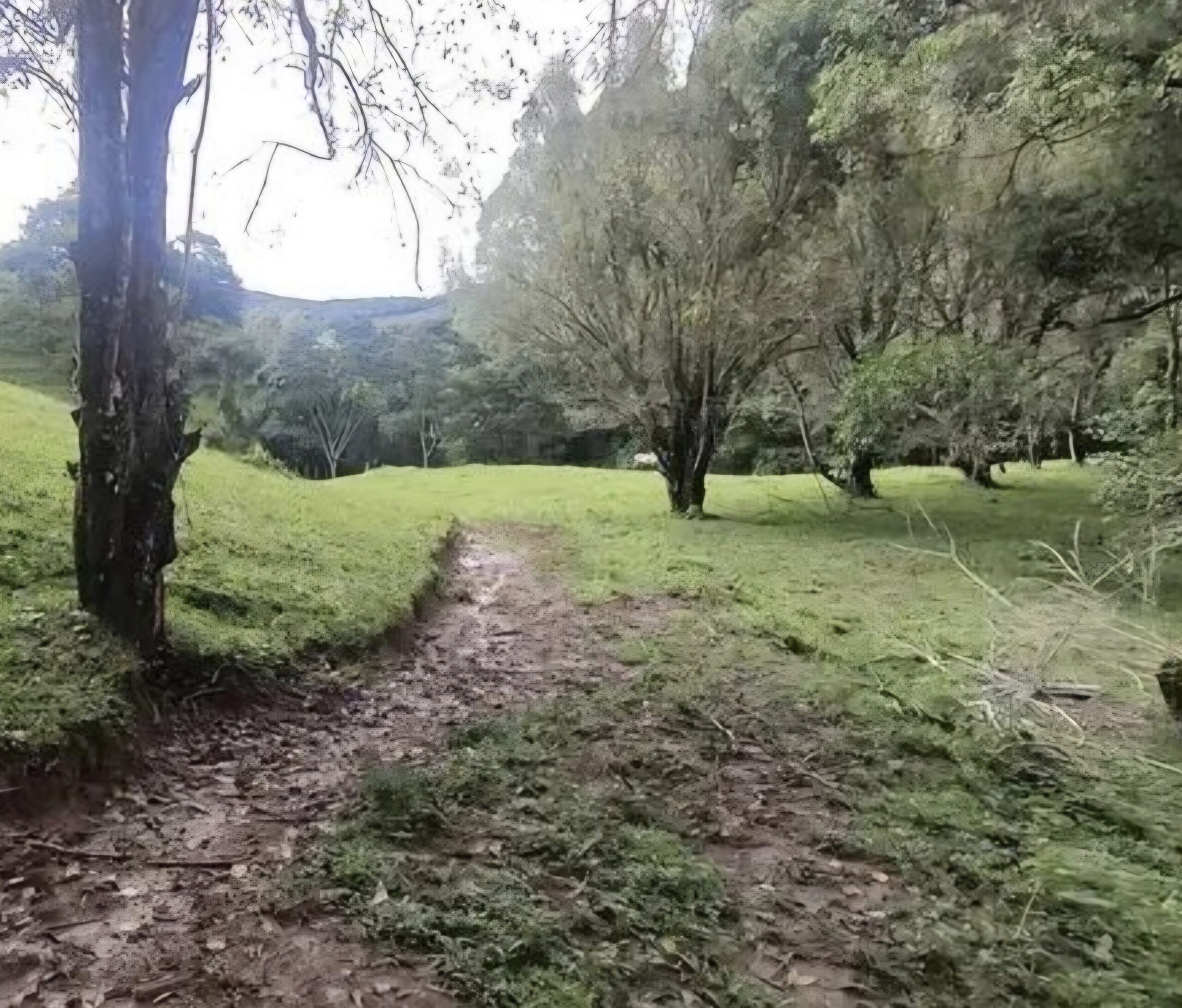 inbound6345381479590573007