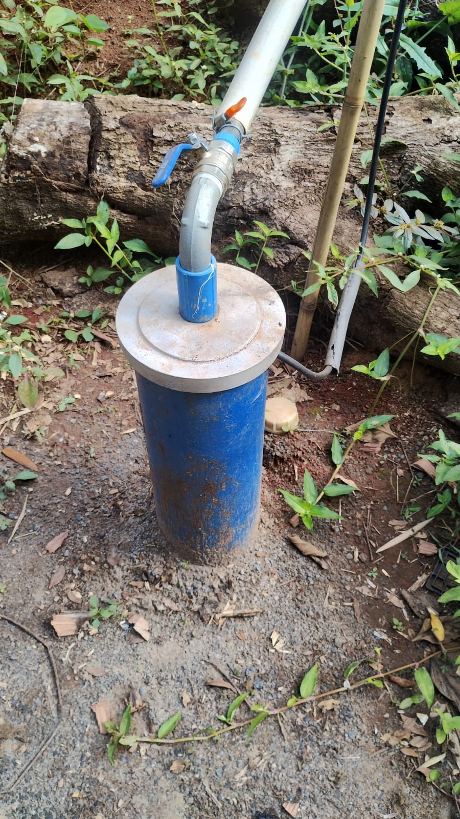 inbound6358568360486071379