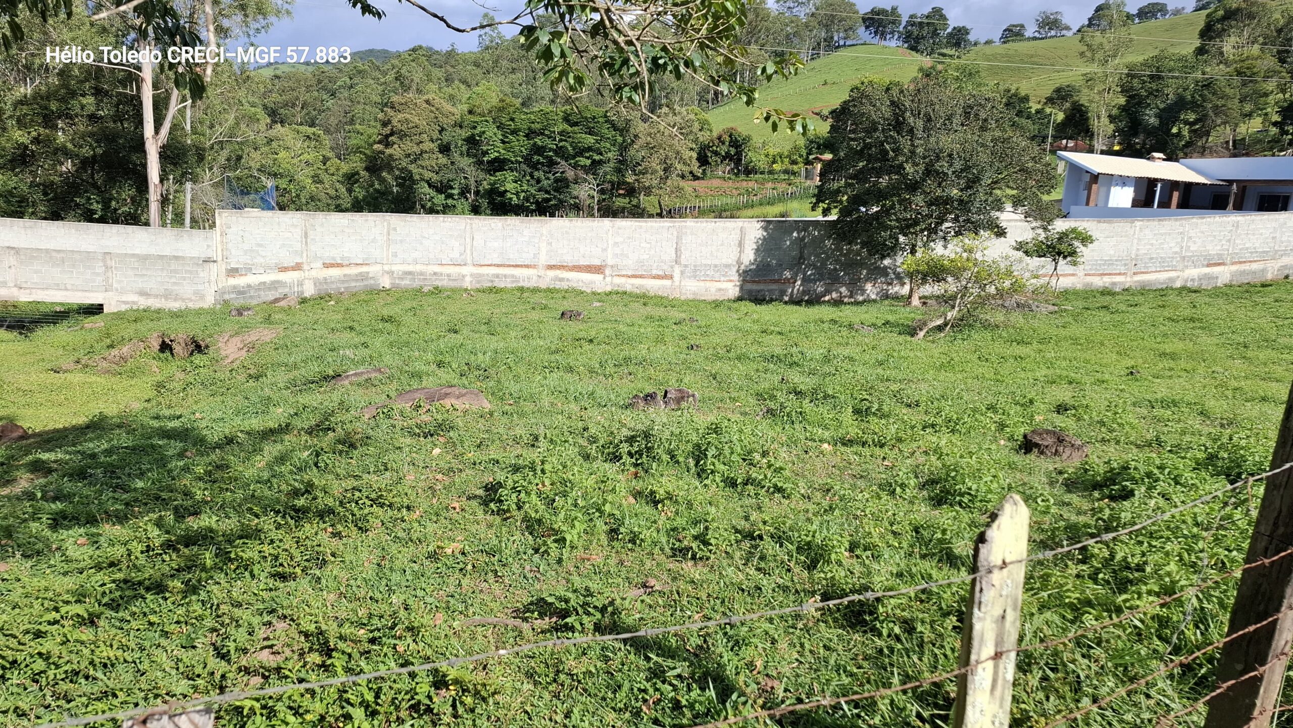 inbound6379020570588470100