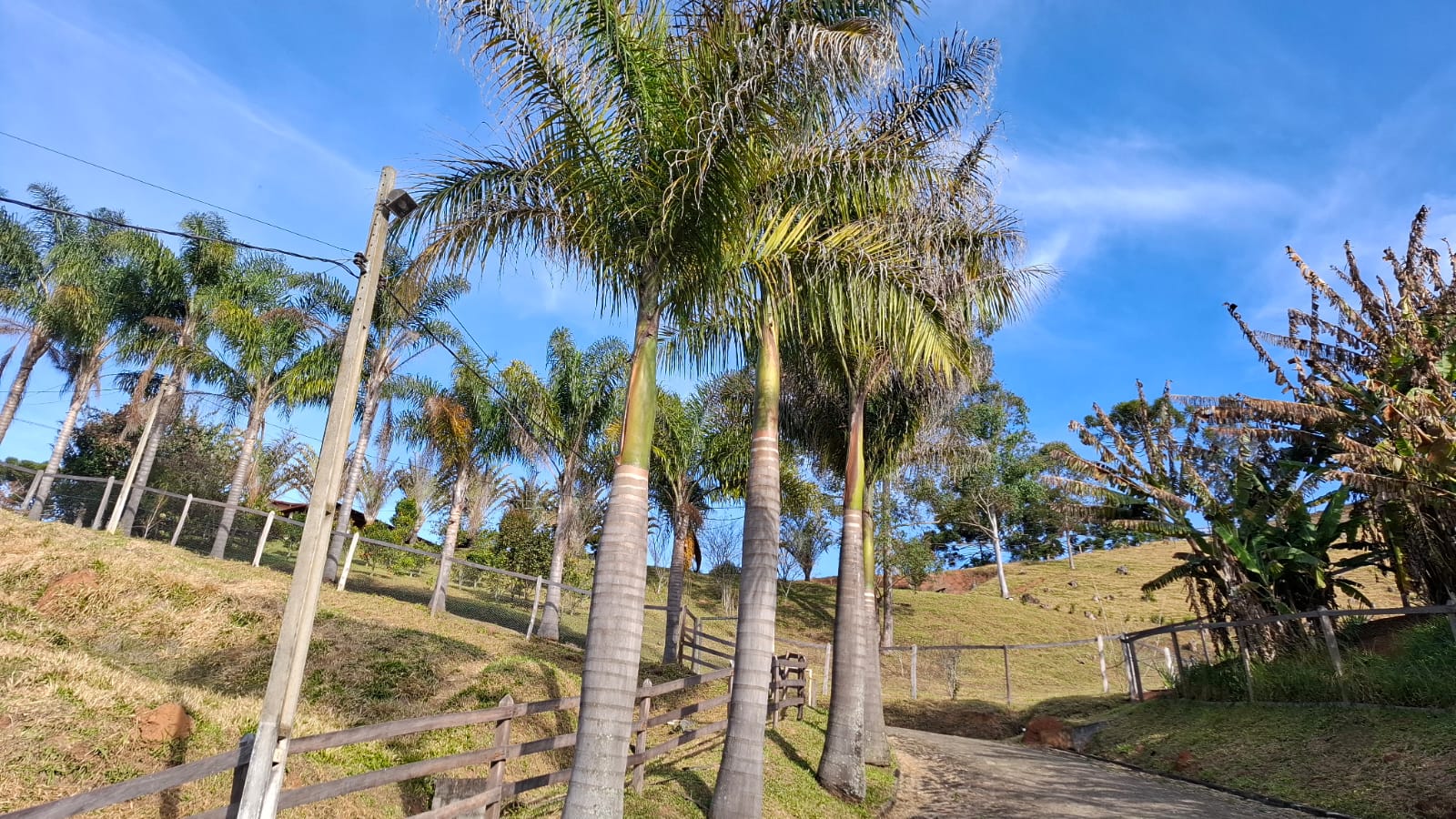 inbound6485232971123138667